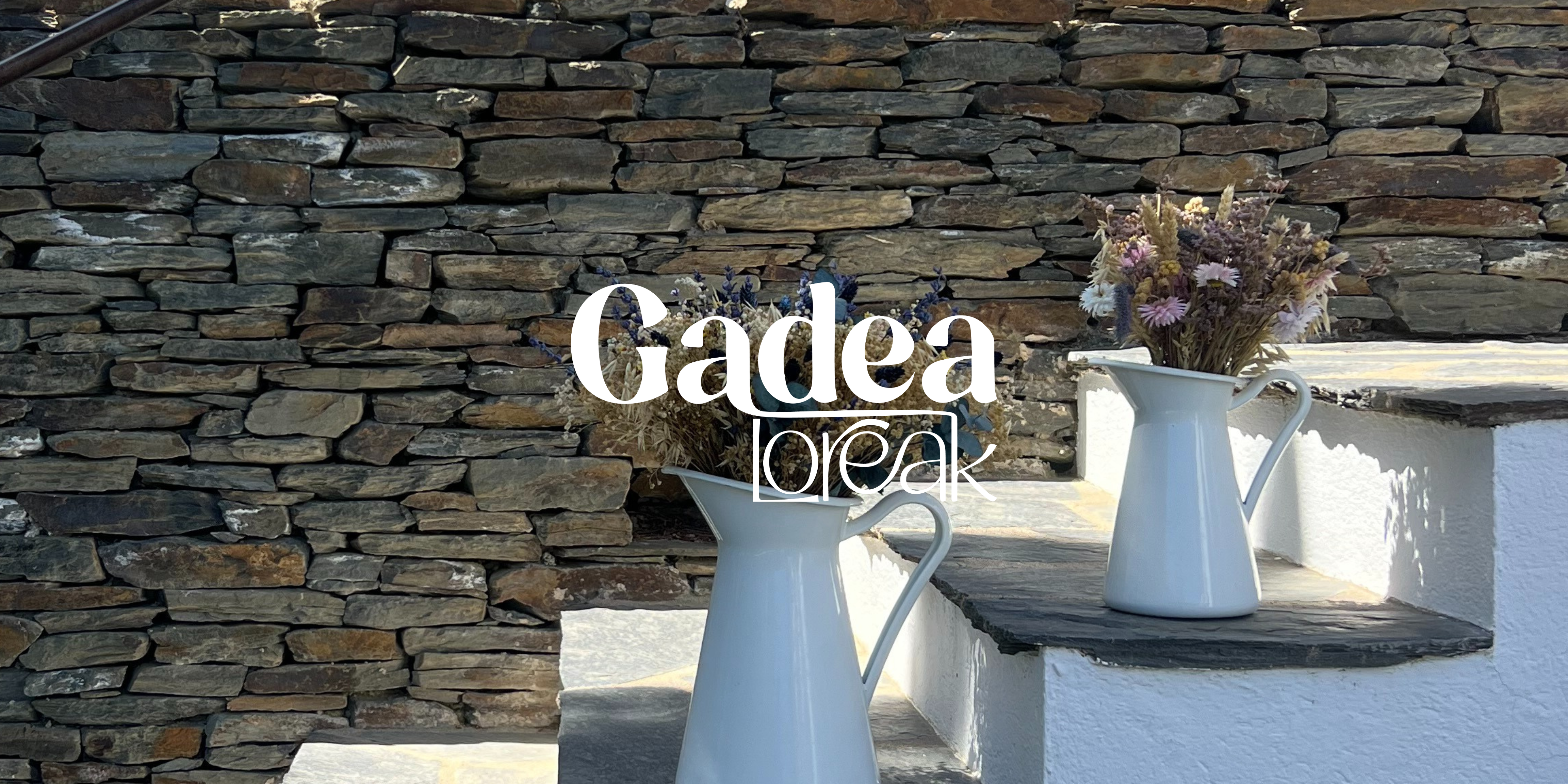 Guía de cuidados para flores secas y preservadas