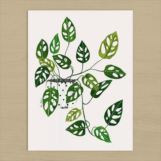 Póster Monstera