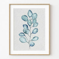 Lámina Eucaliptus azul