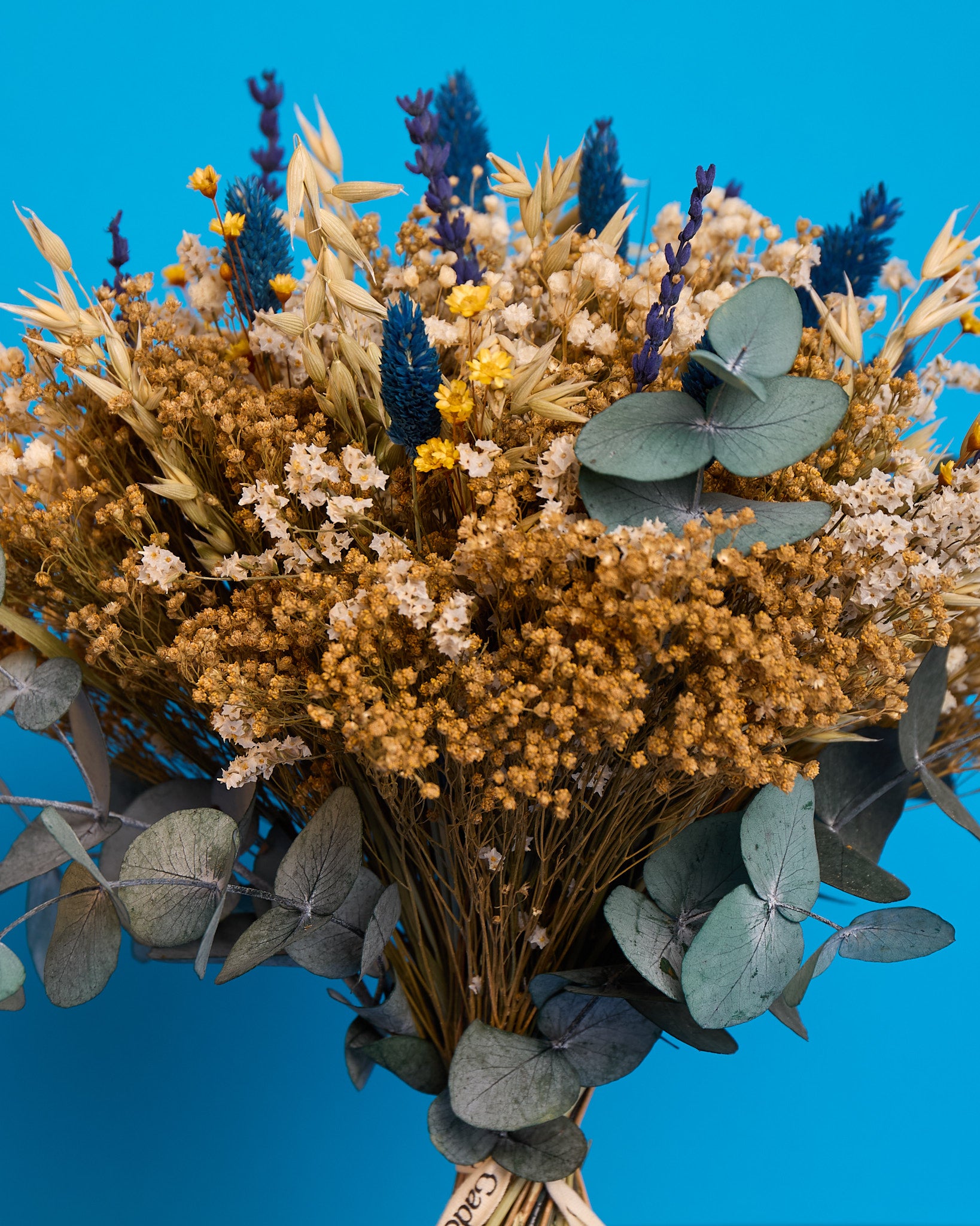 Flores secas Bilbao
Flores preservadas Bilbao
Ramos de flores secas Bilbao