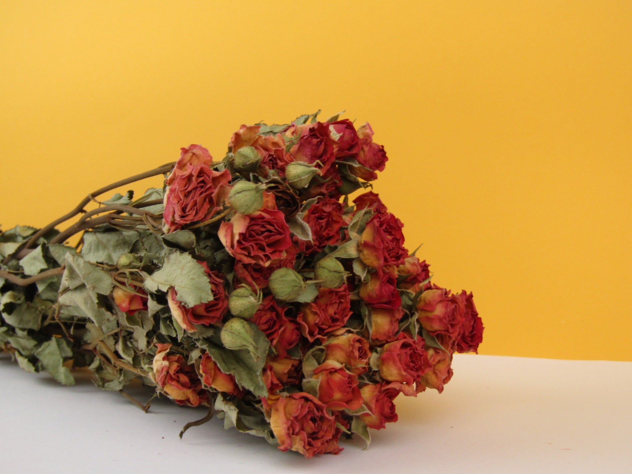 Rosas secas mini