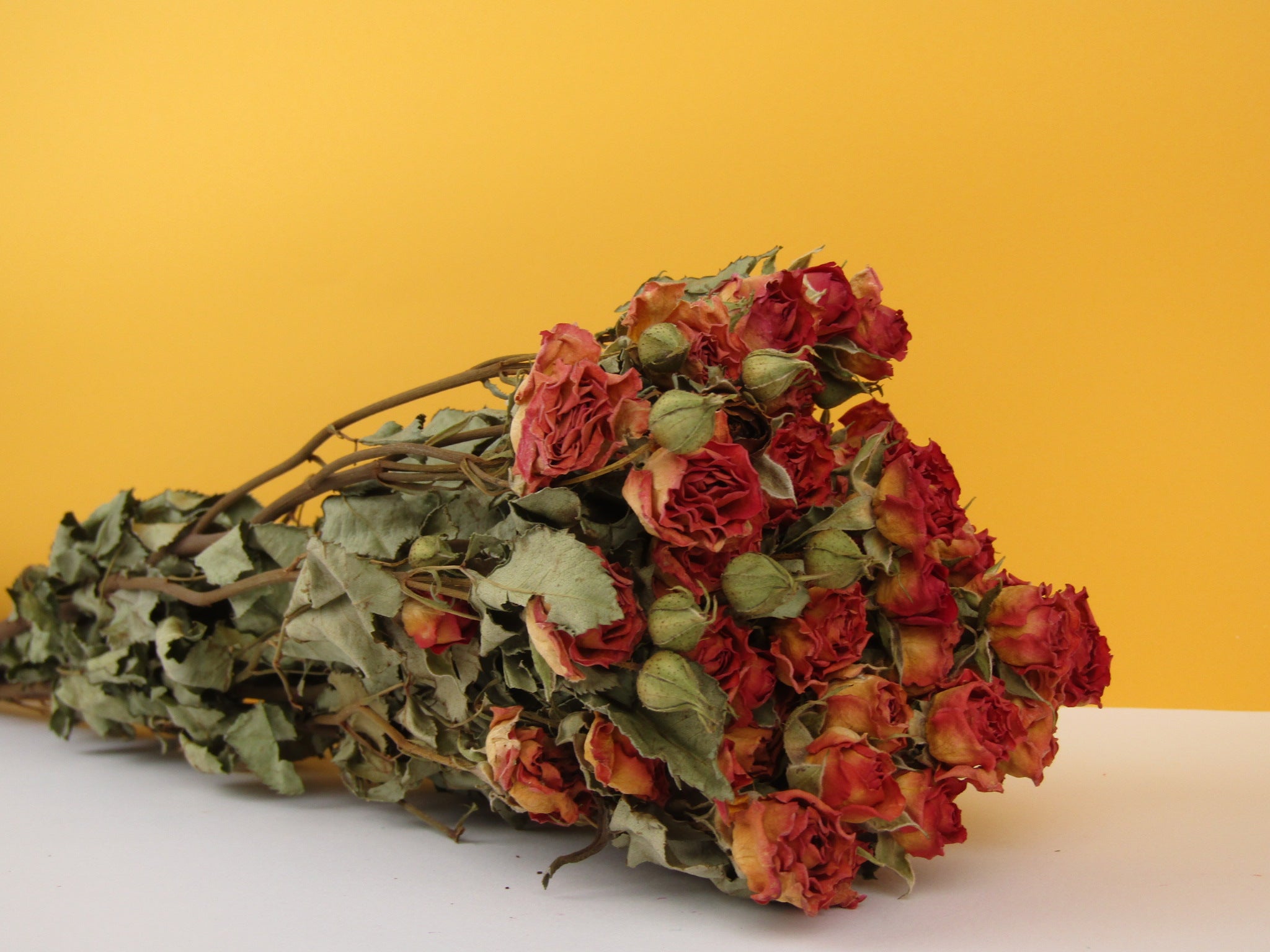 Rosas secas mini