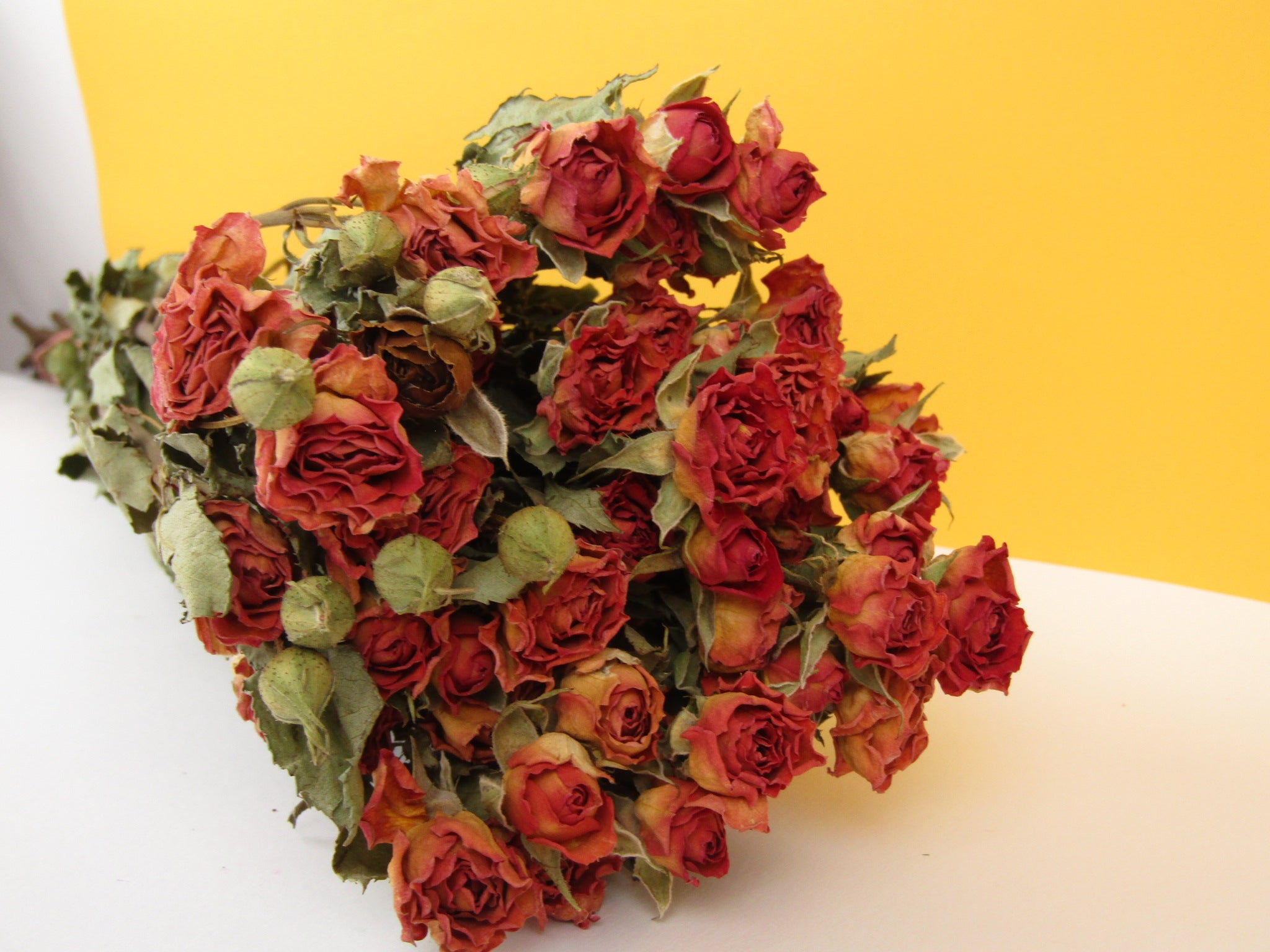 Rosas secas mini