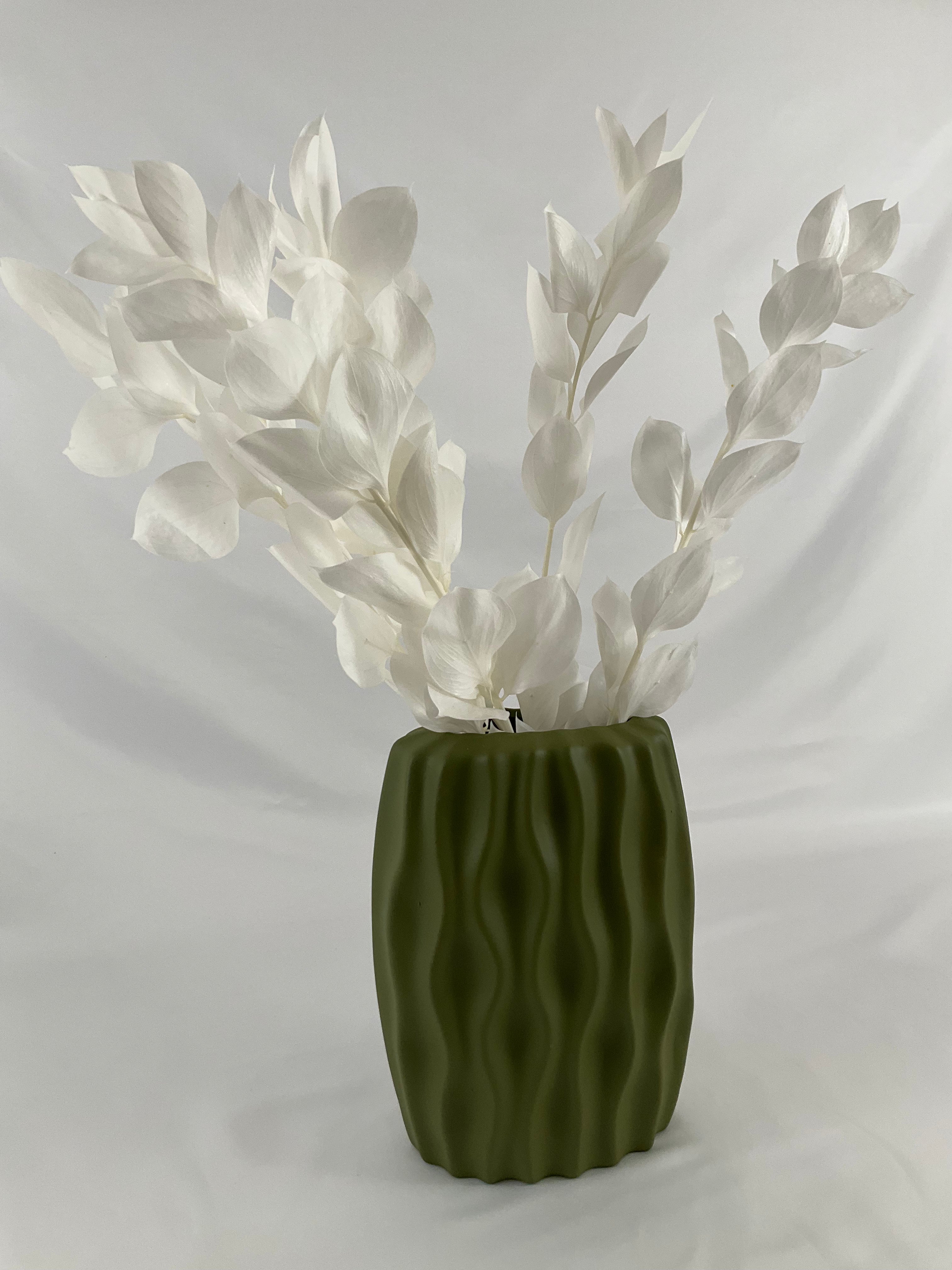 Ruscus preservado premium