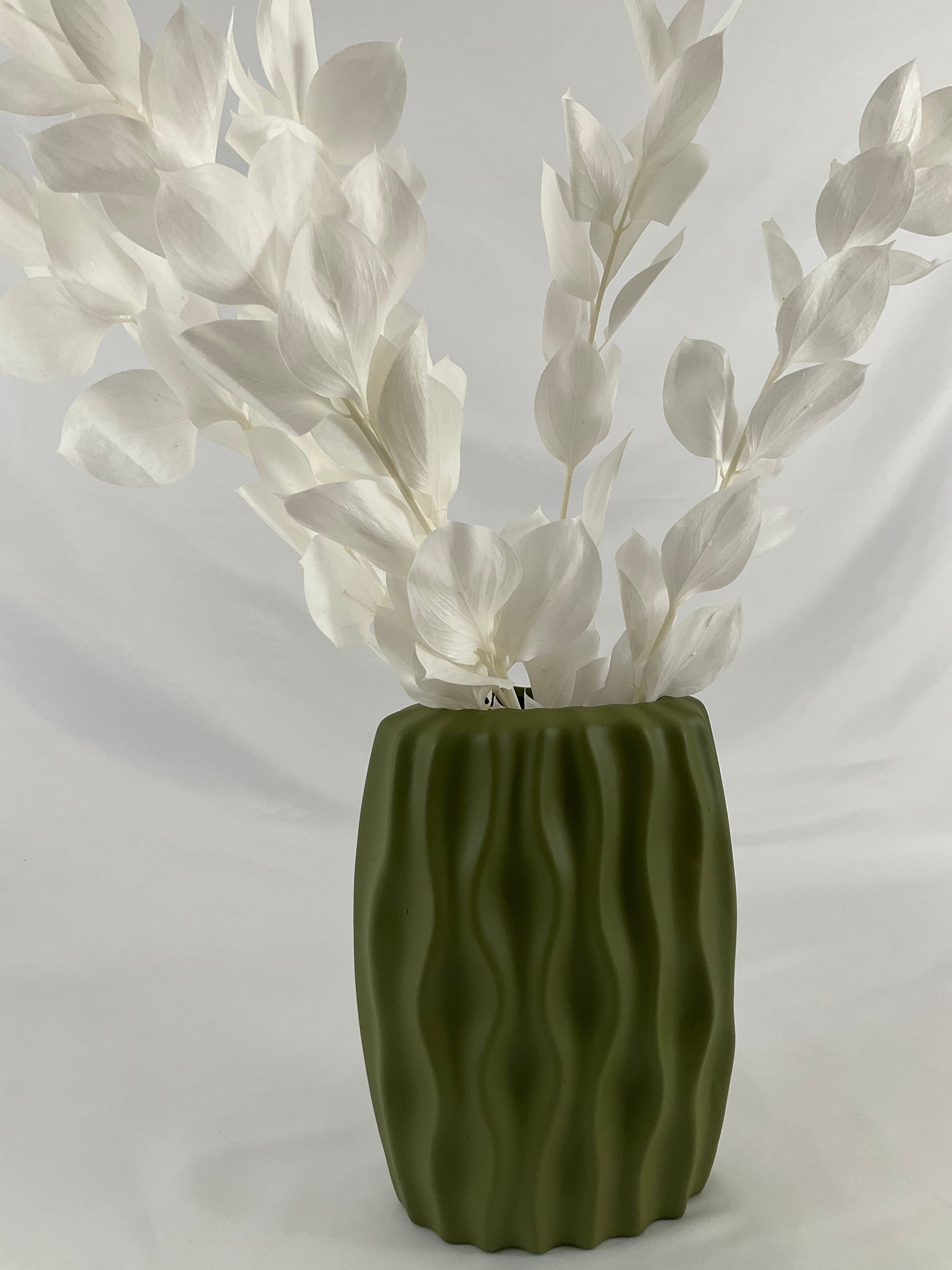 Ruscus preservado premium