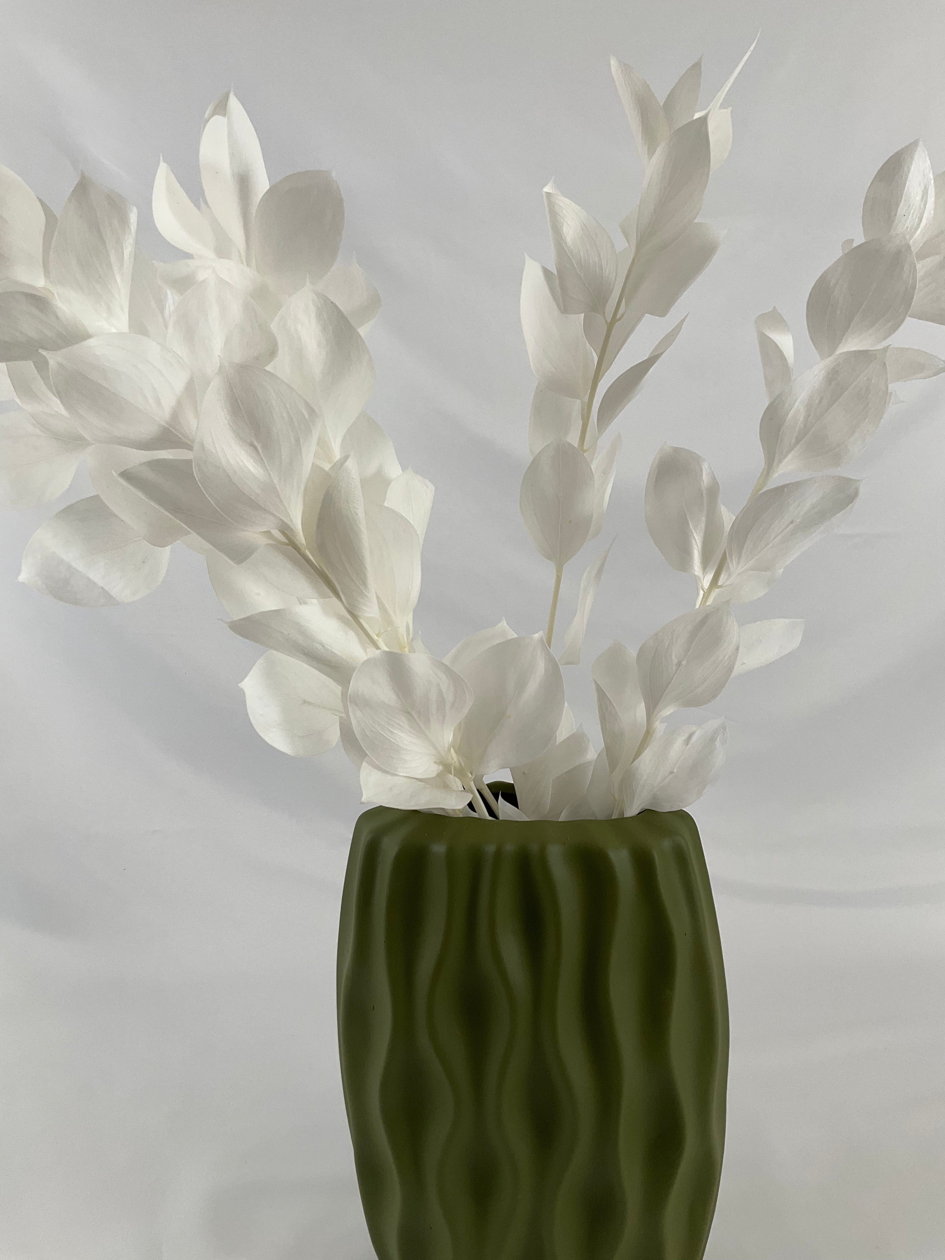 Ruscus preservado premium