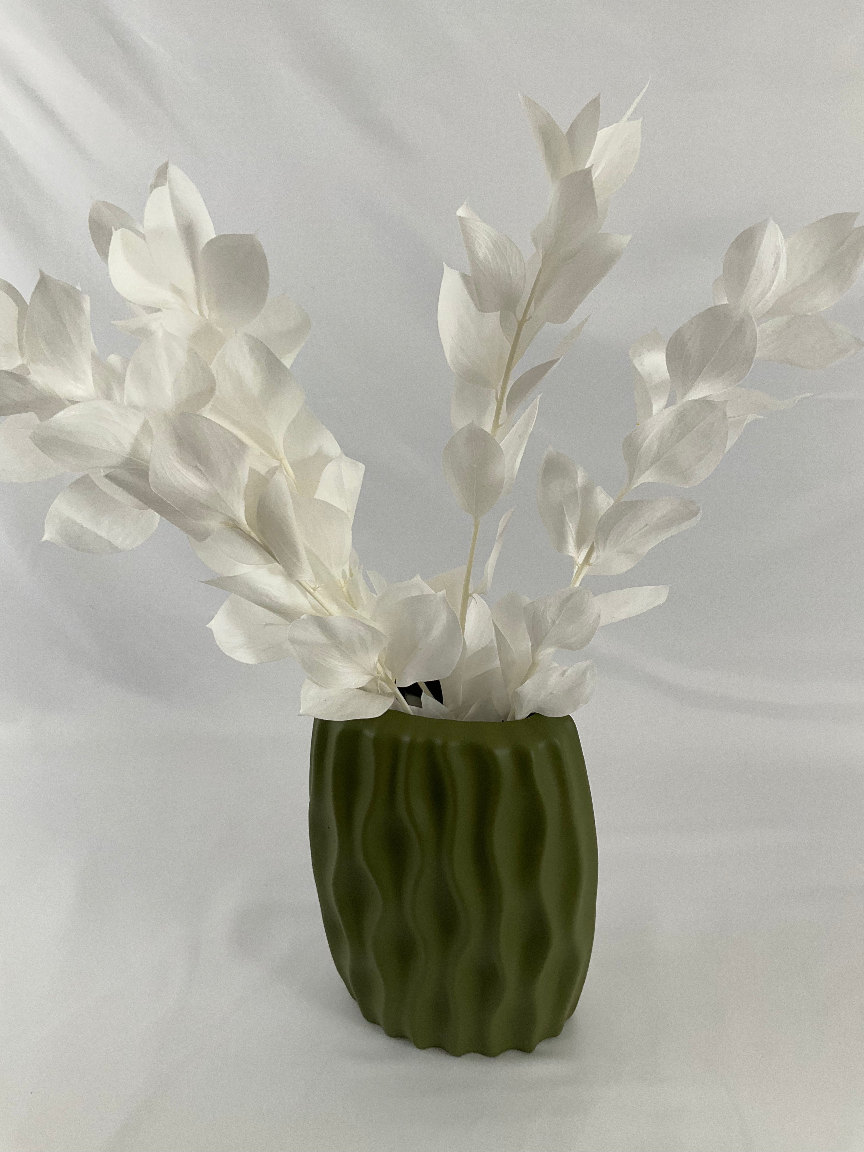 Ruscus preservado premium