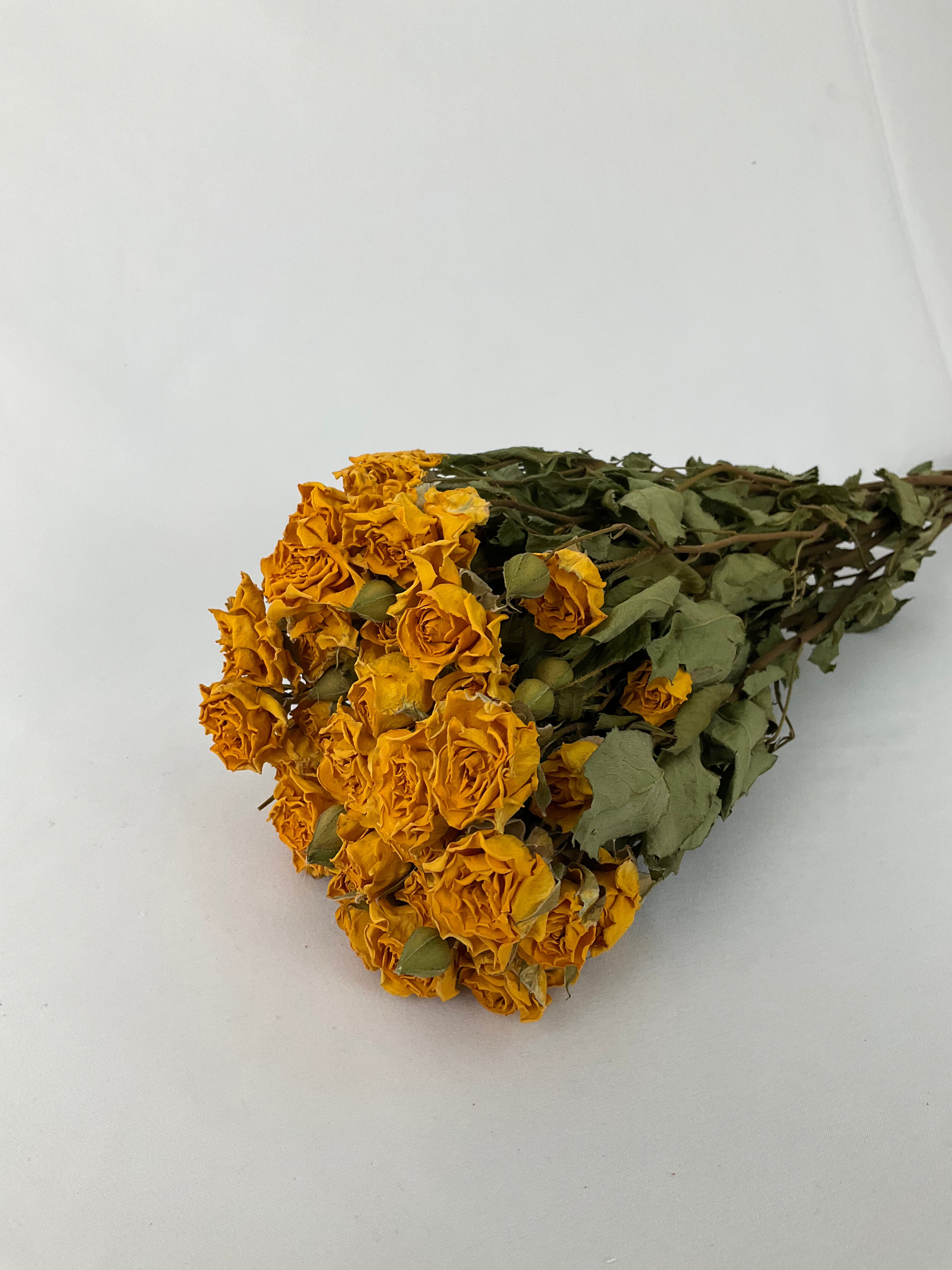 Rosas secas mini