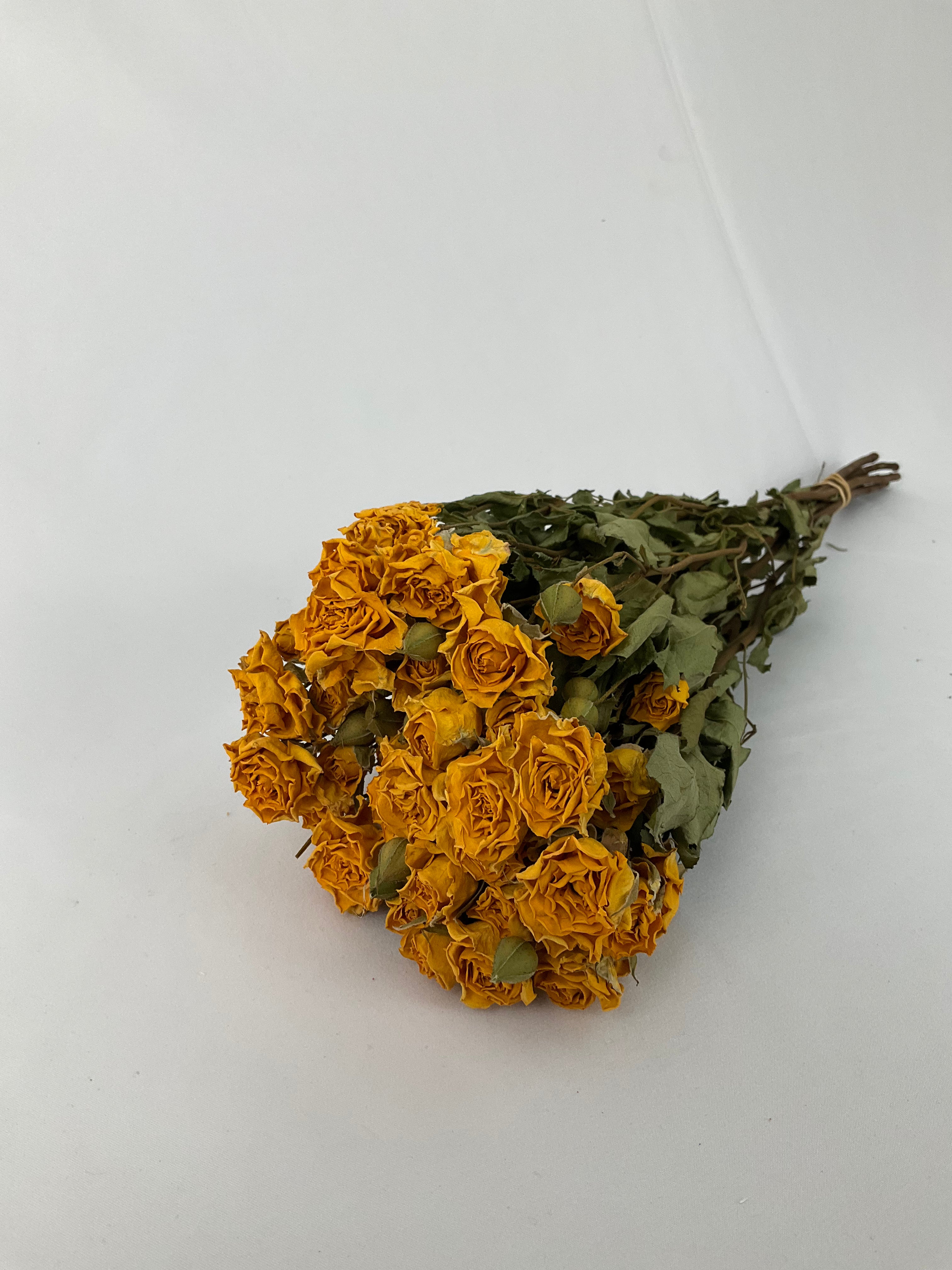 Rosas secas mini