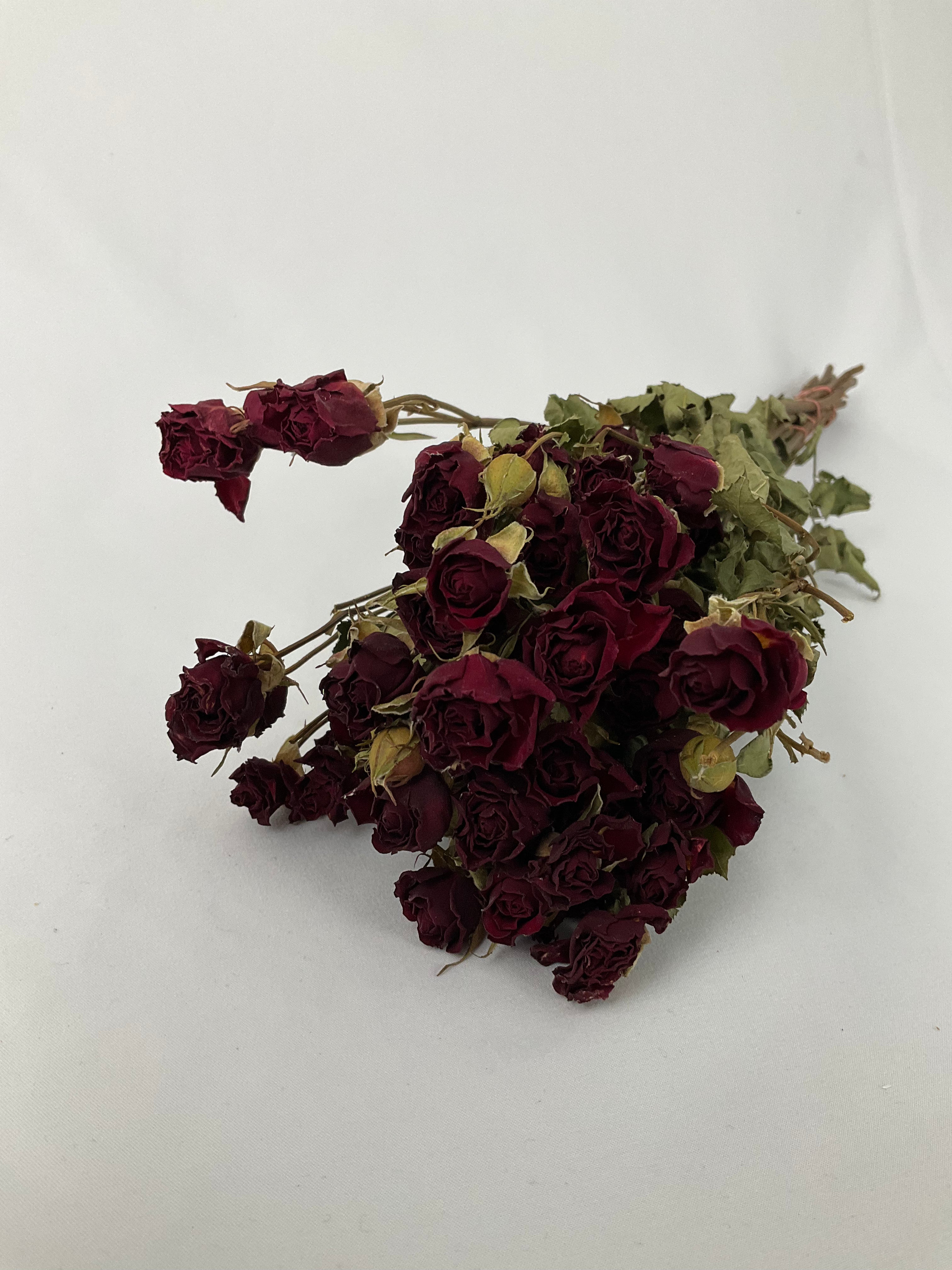 Rosas secas mini
