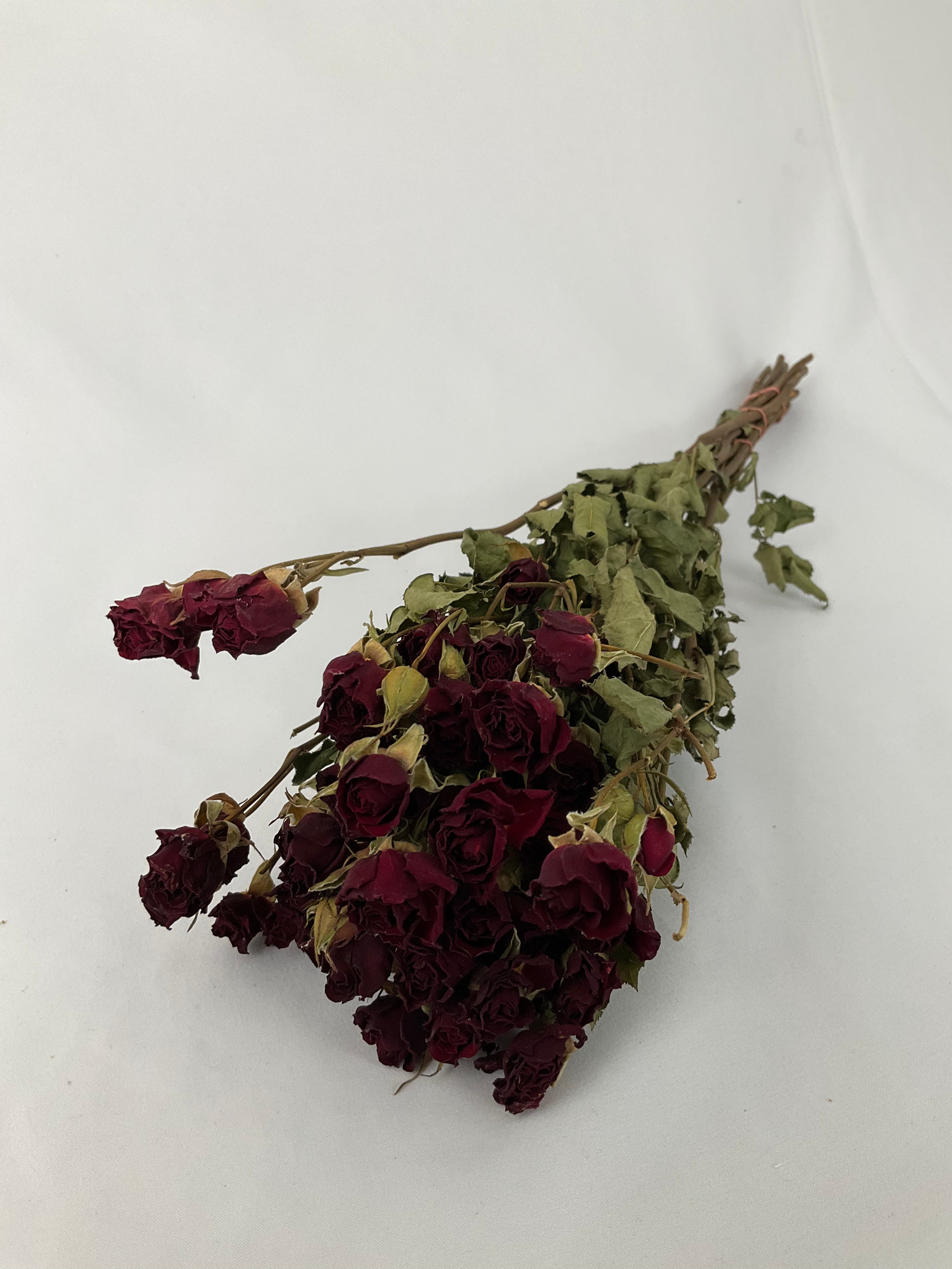 Rosas secas mini