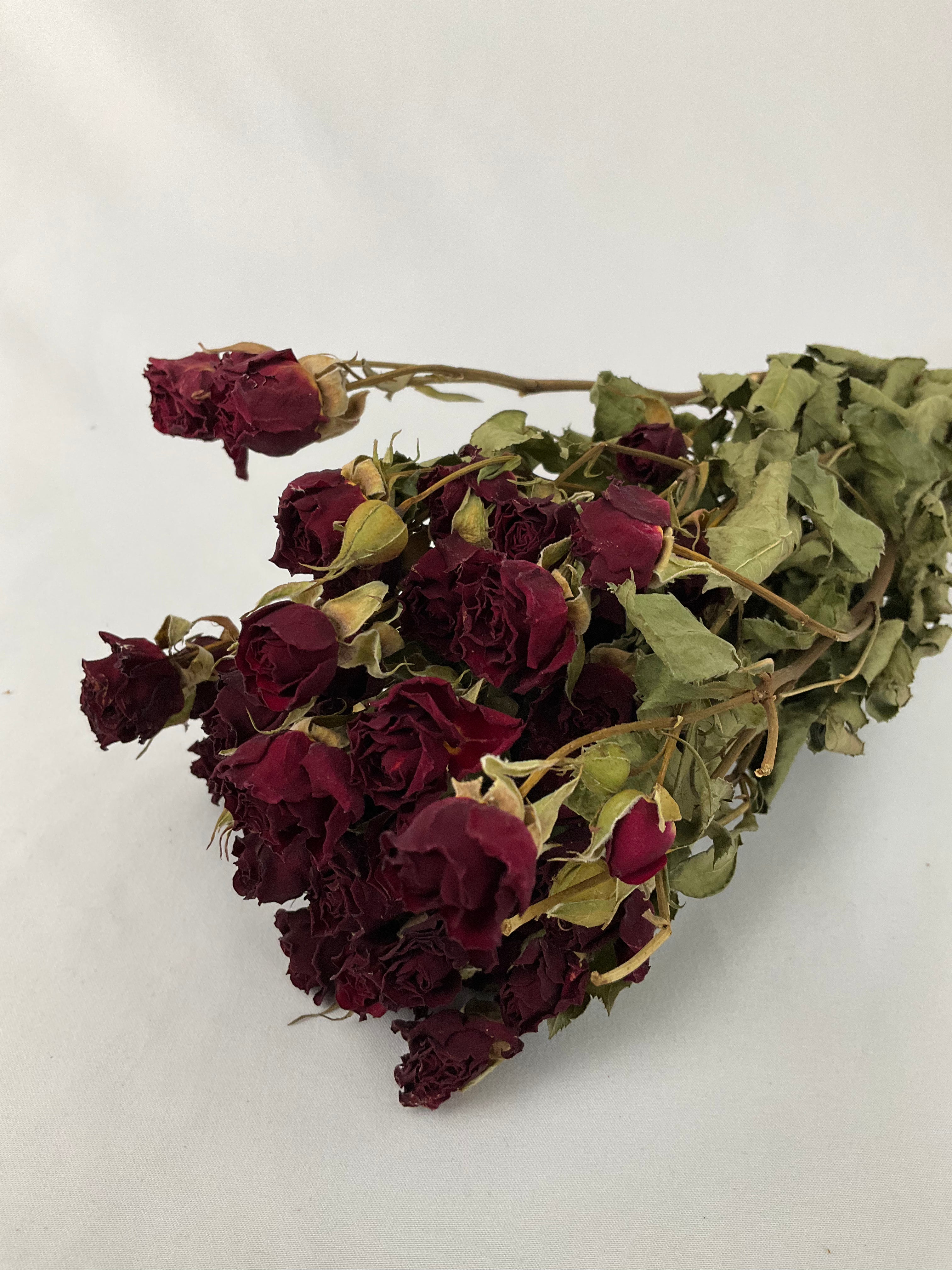 Rosas secas mini