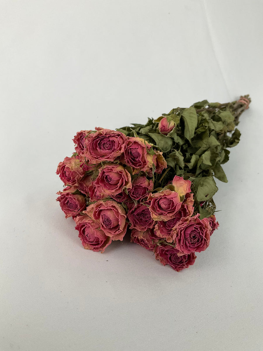 Rosas secas mini