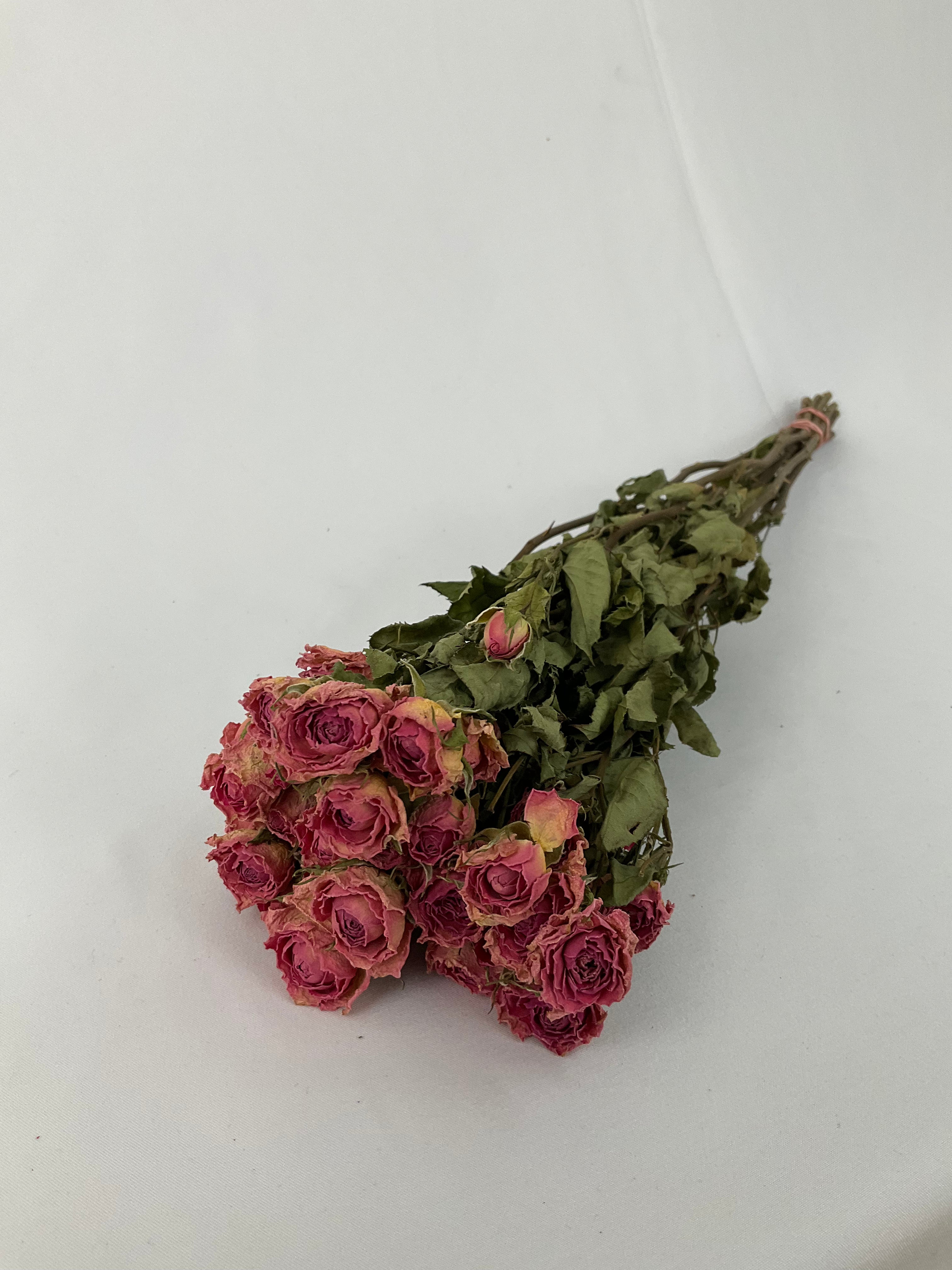 Rosas secas mini