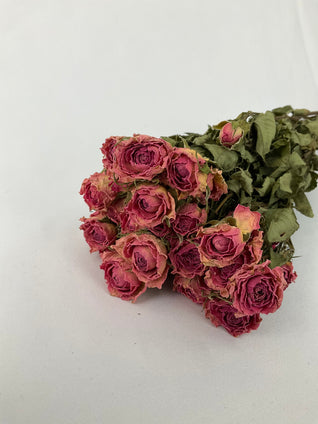 Roses séchées mini