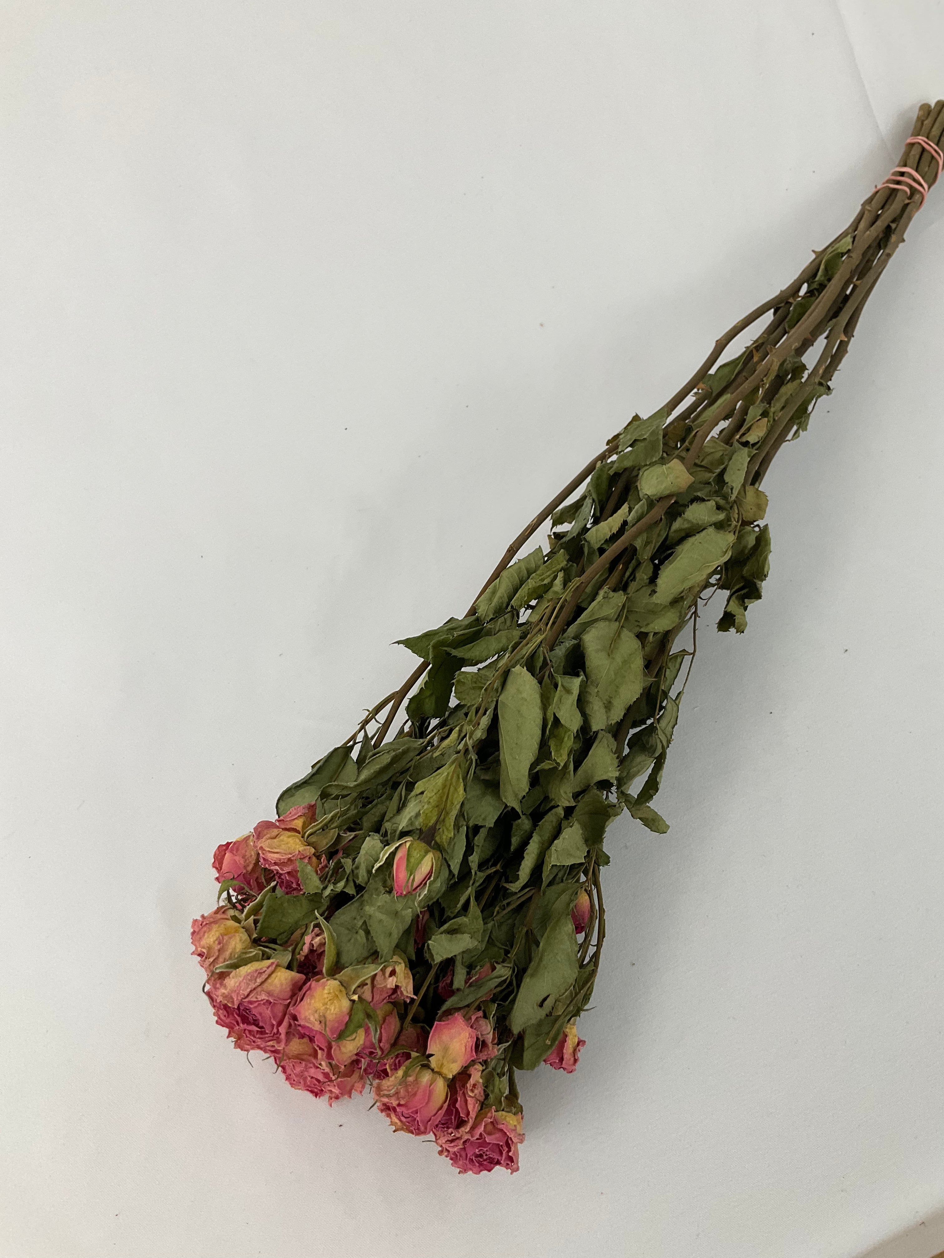 Rosas secas mini
