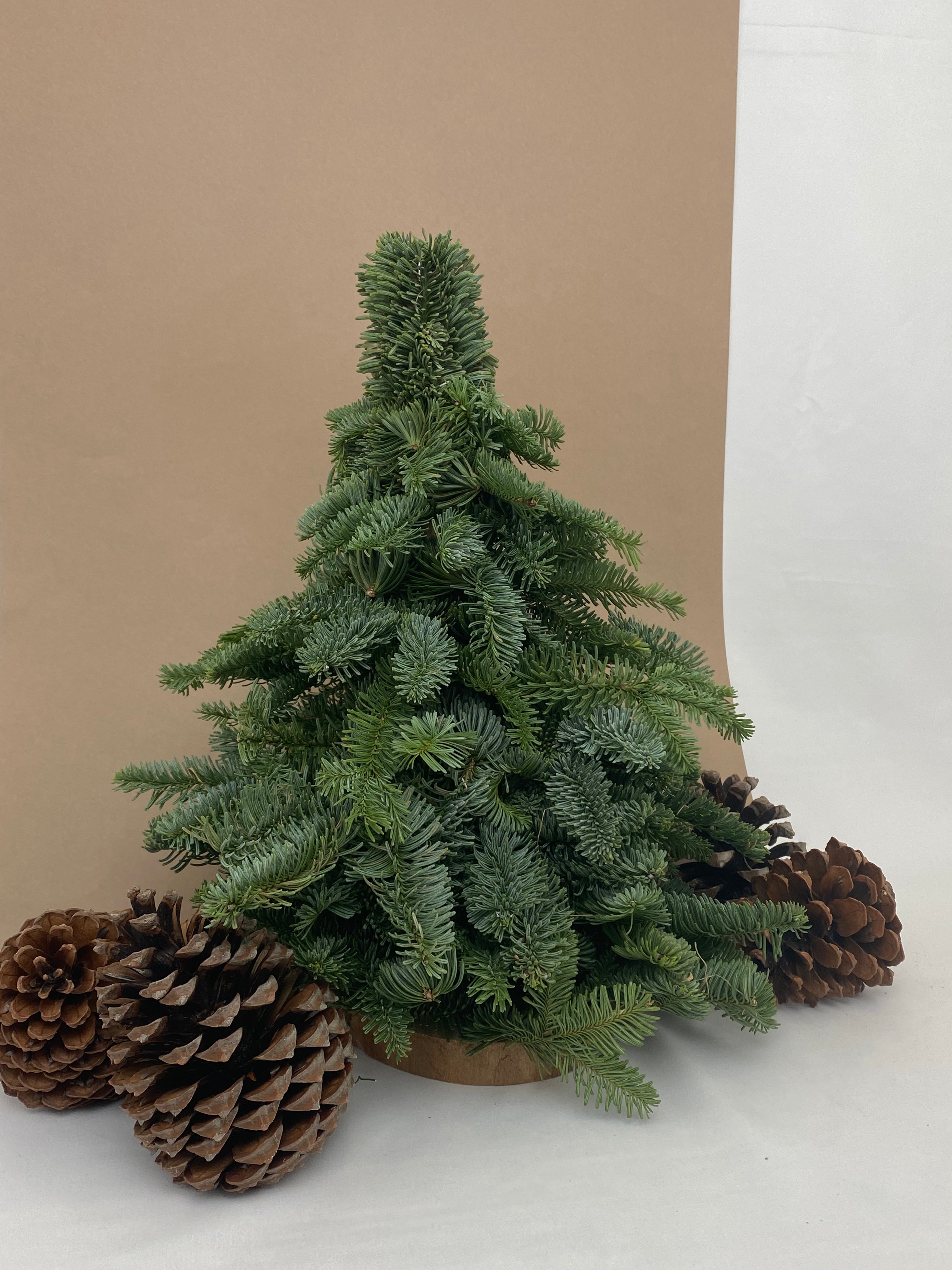 Árbol navidad
