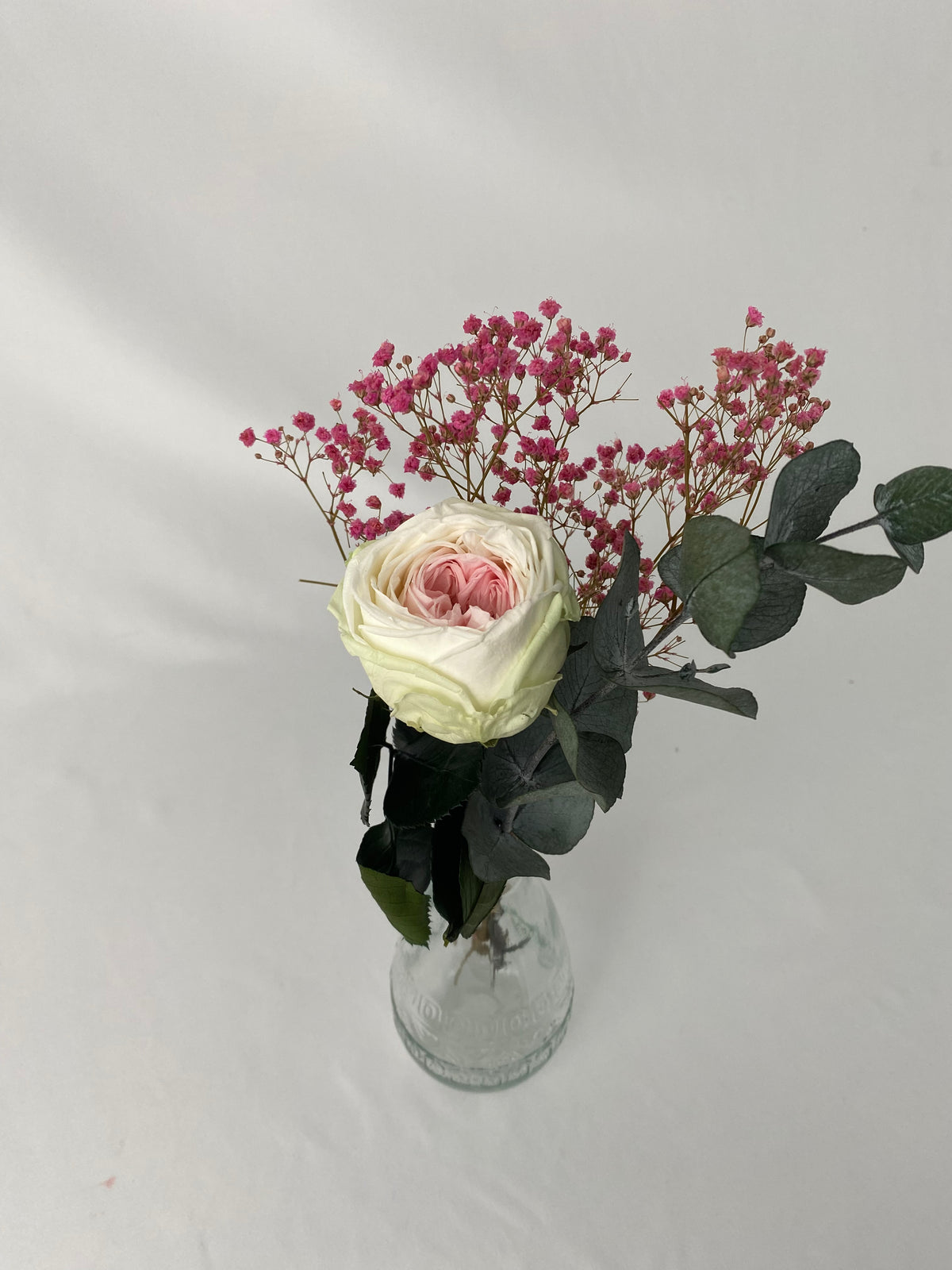 Rosa eterna jardín