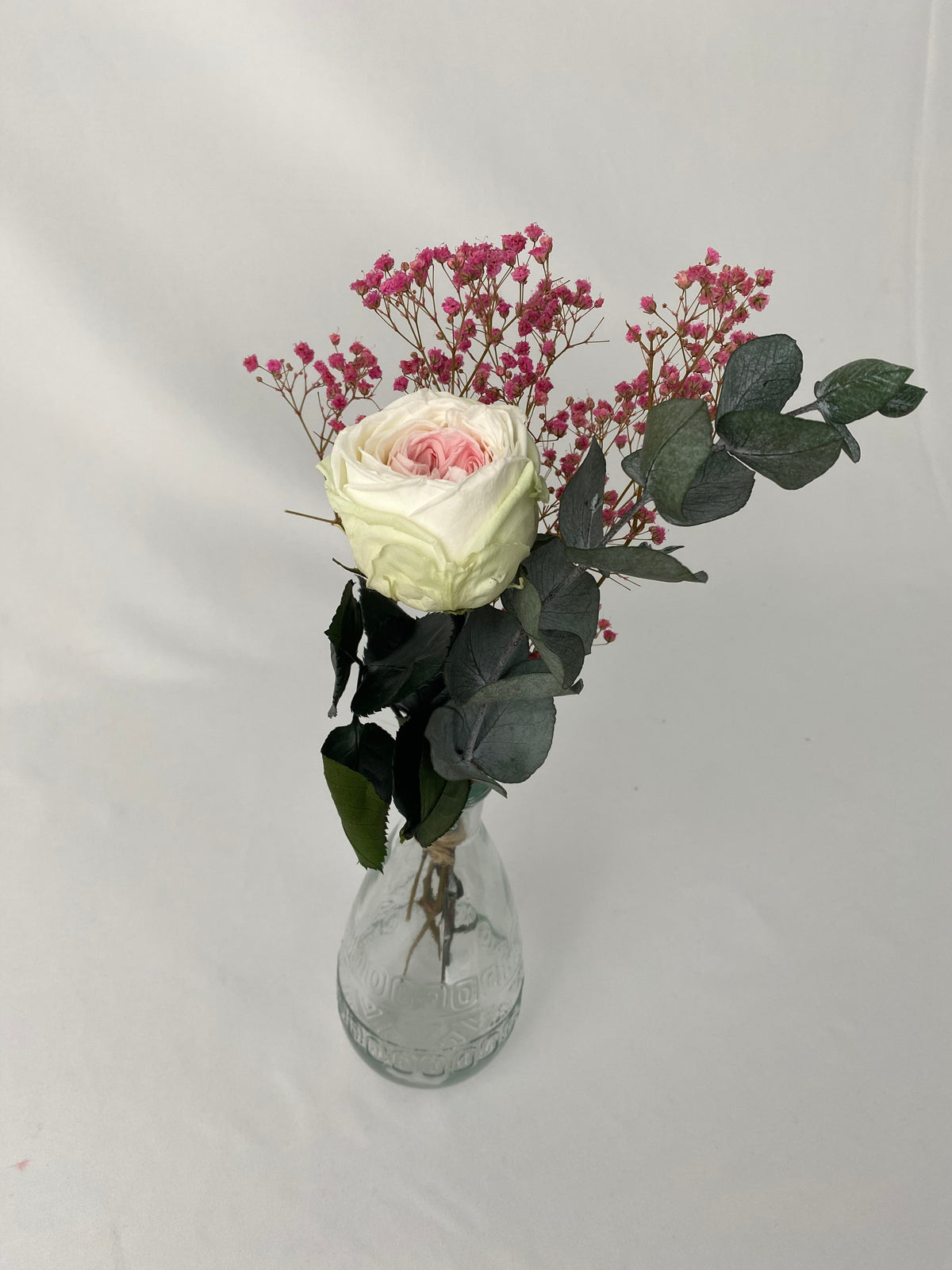Rosa eterna jardín