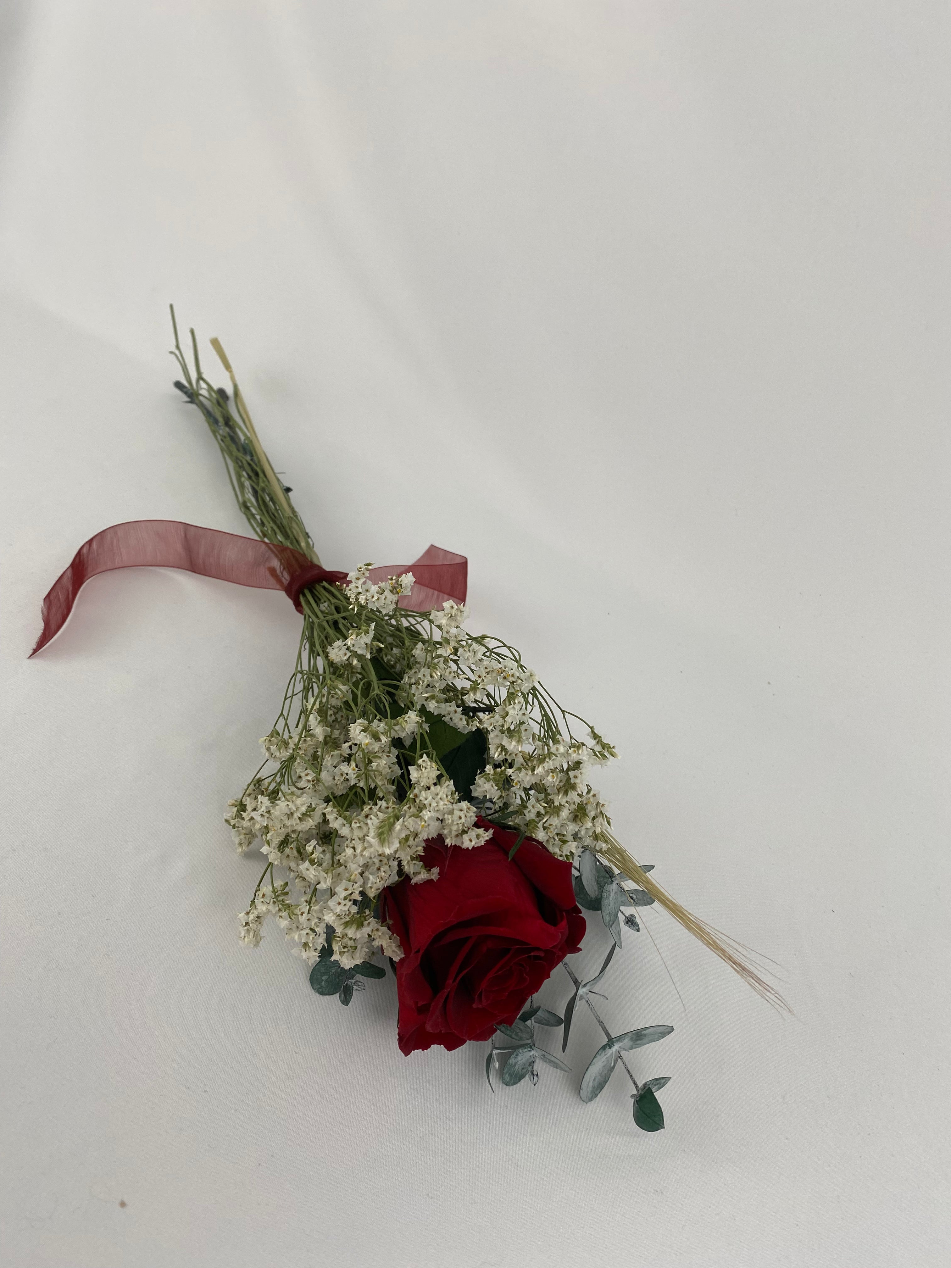 Rosa eterna burgundy