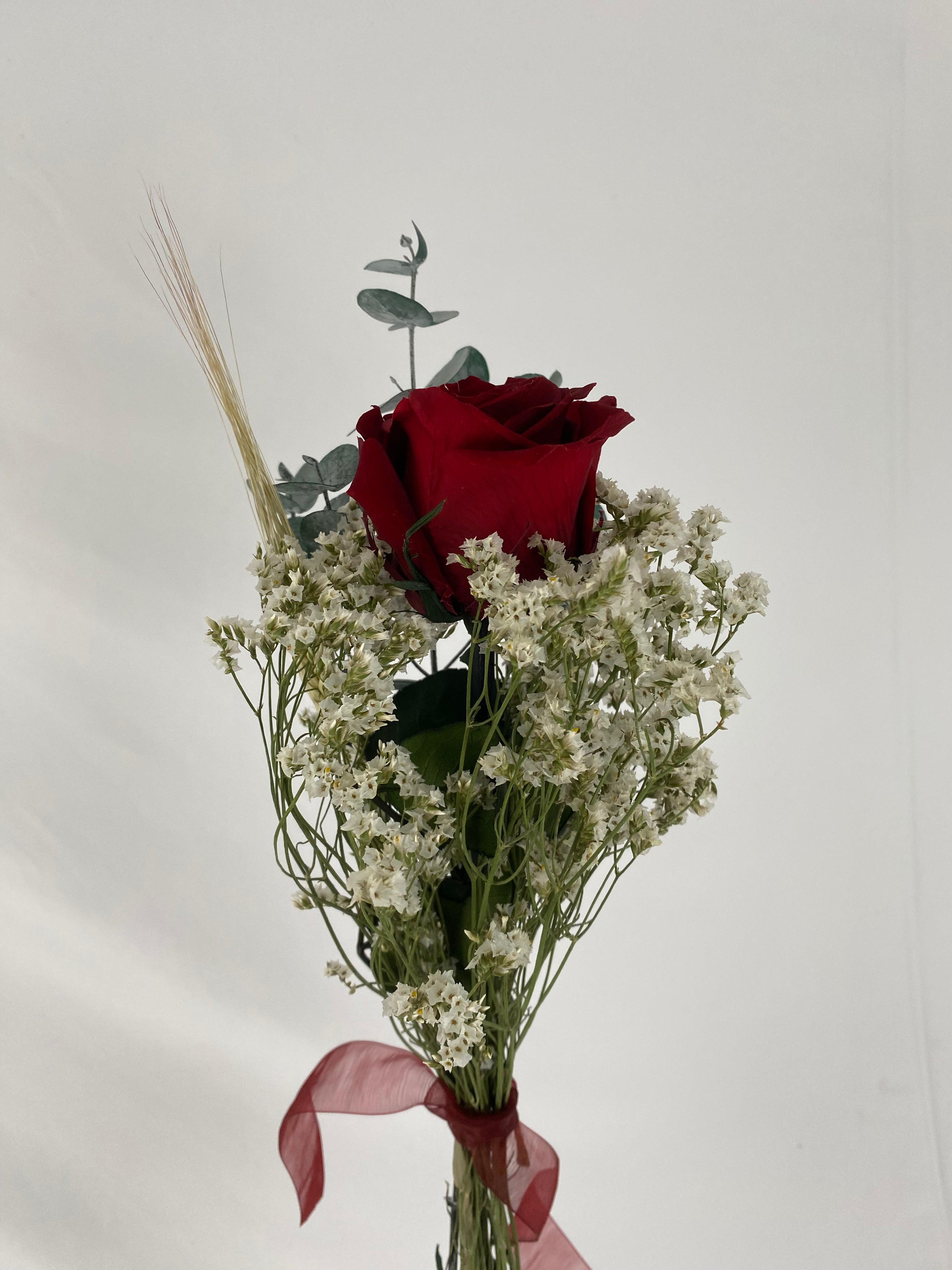 Rosa eterna burgundy