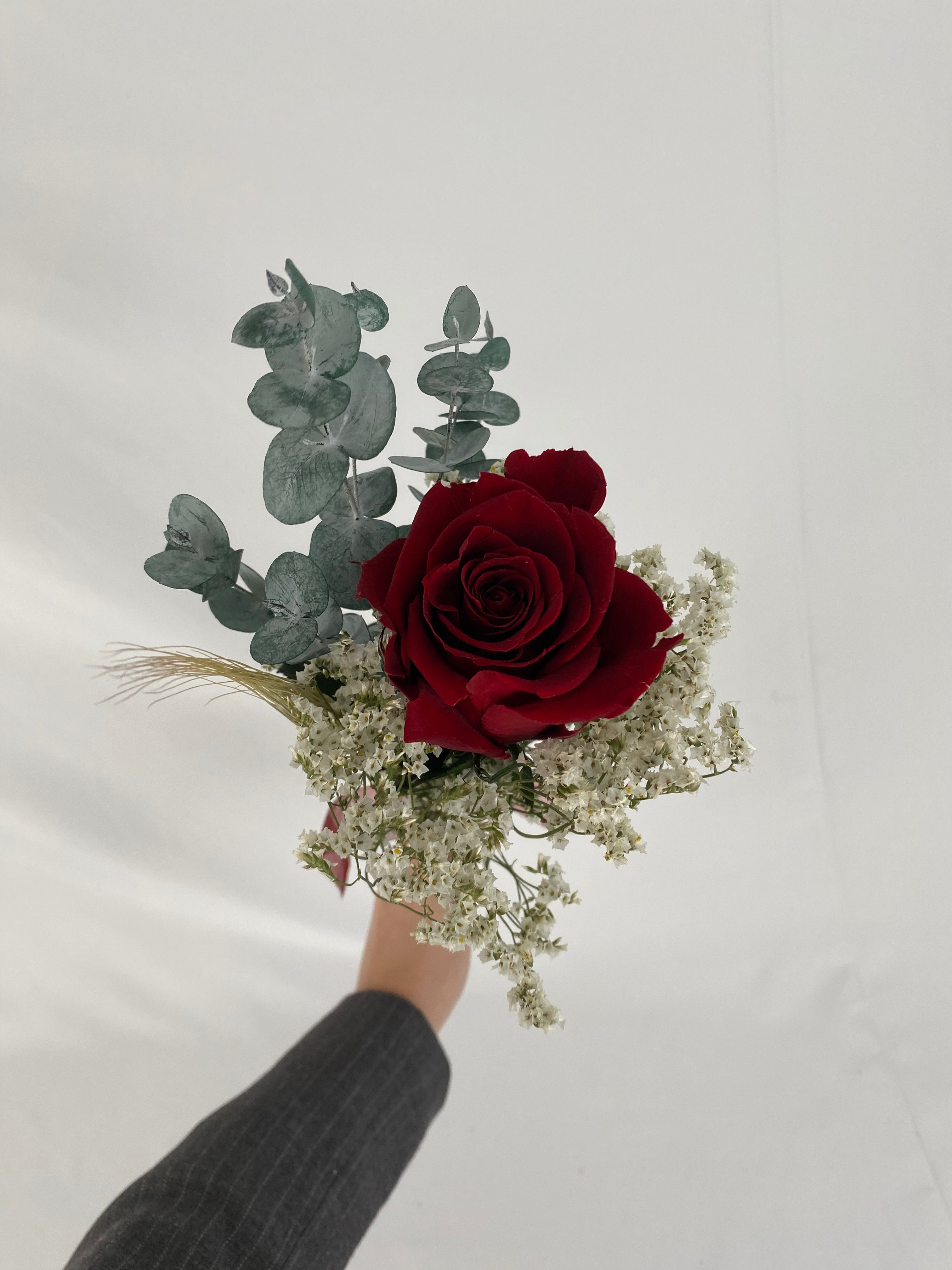 Rosa eterna burgundy