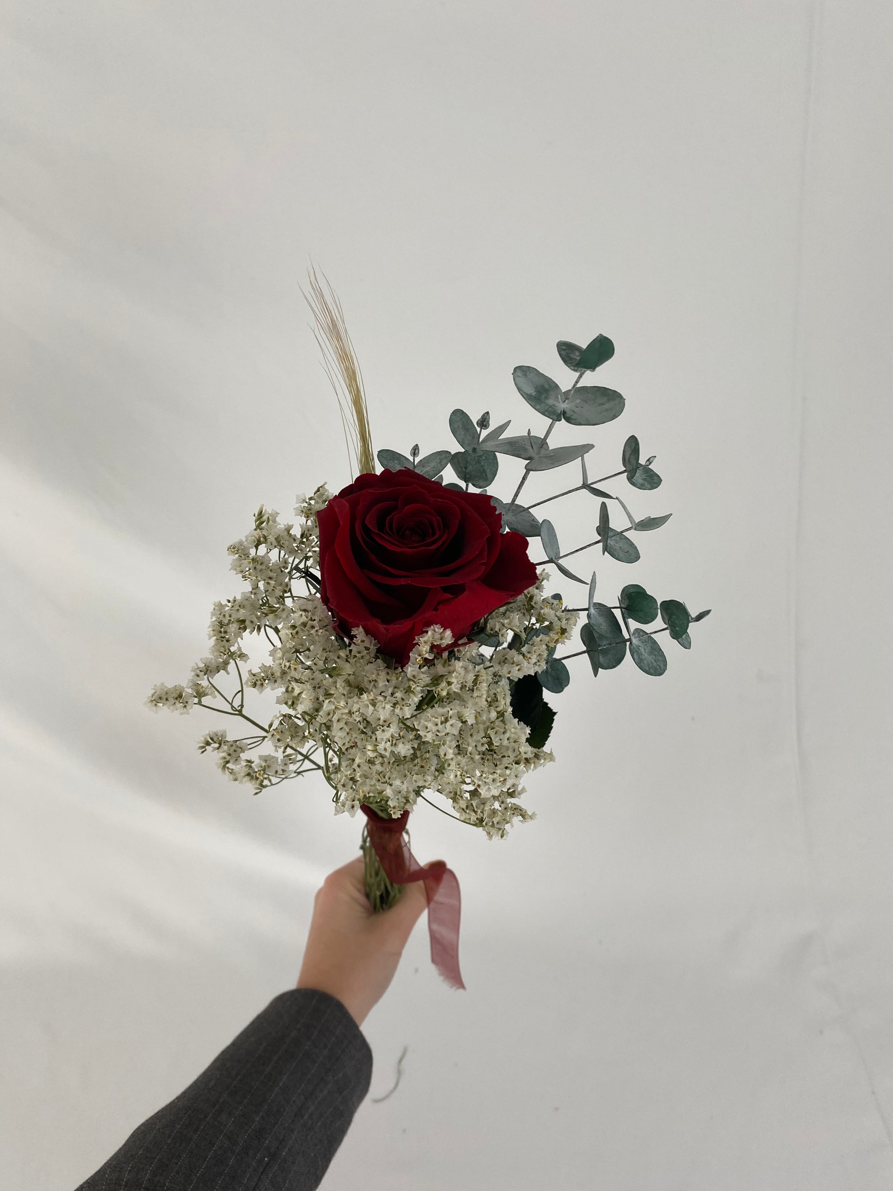 Rosa eterna burgundy