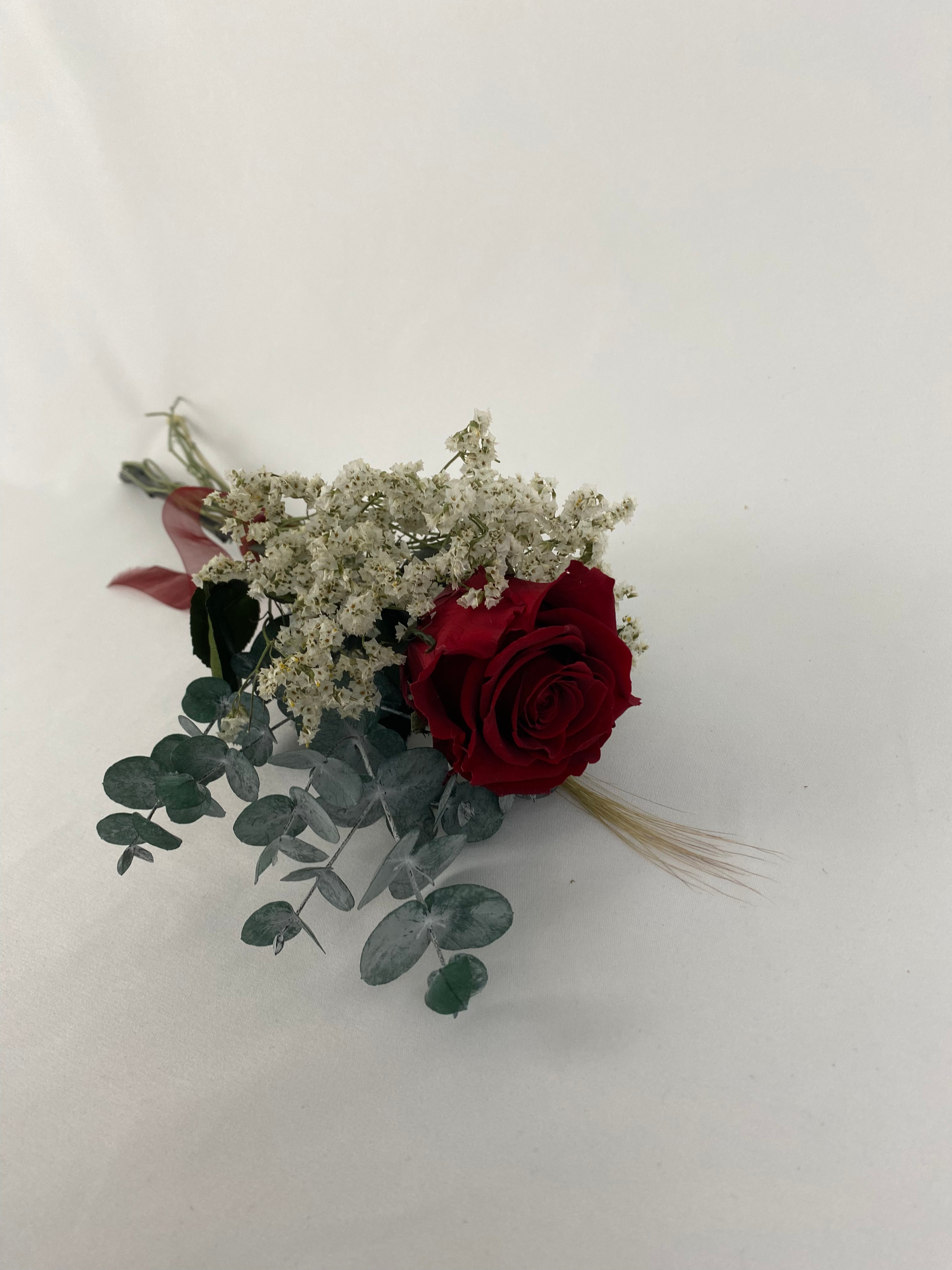Rosa eterna burgundy