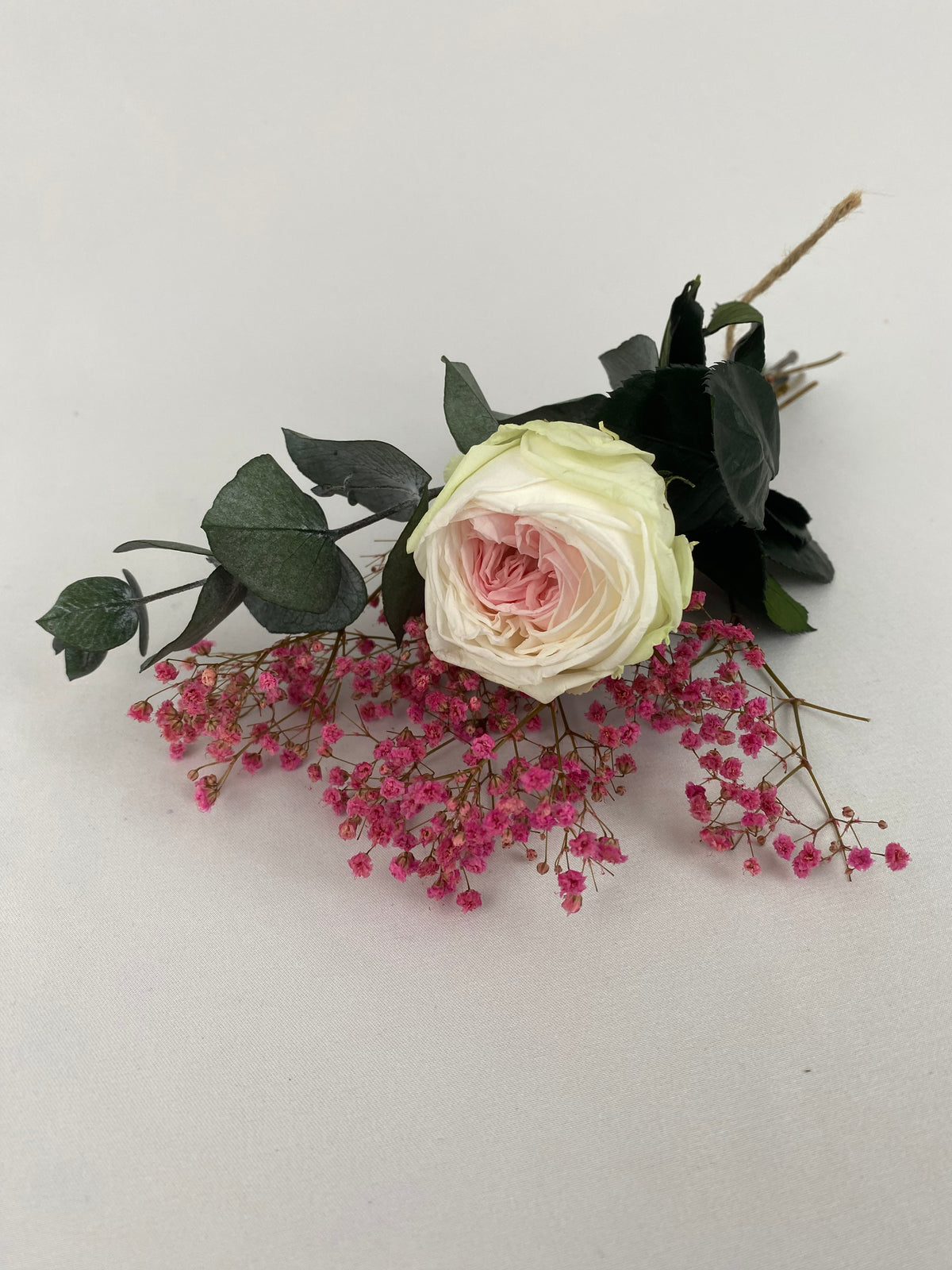 Rosa eterna jardín