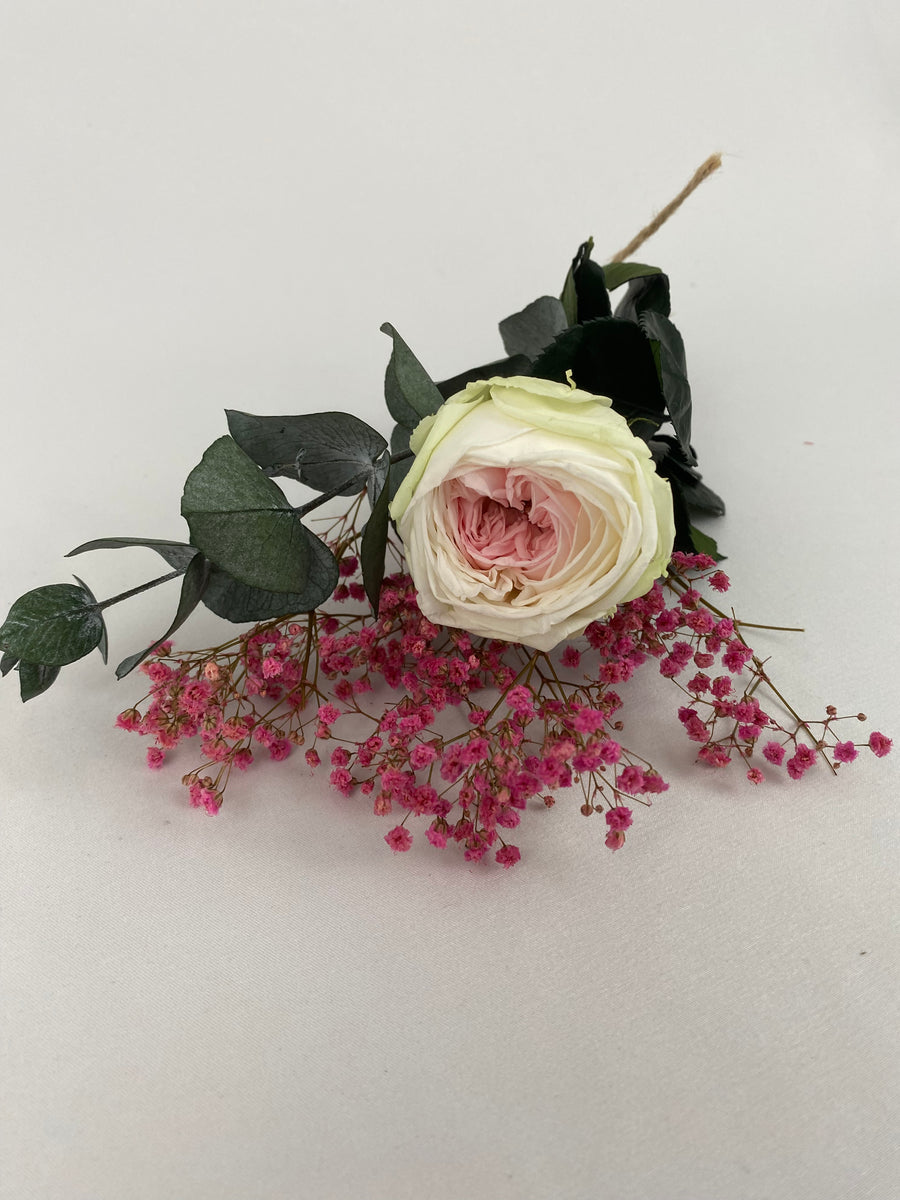 Rosa eterna jardín