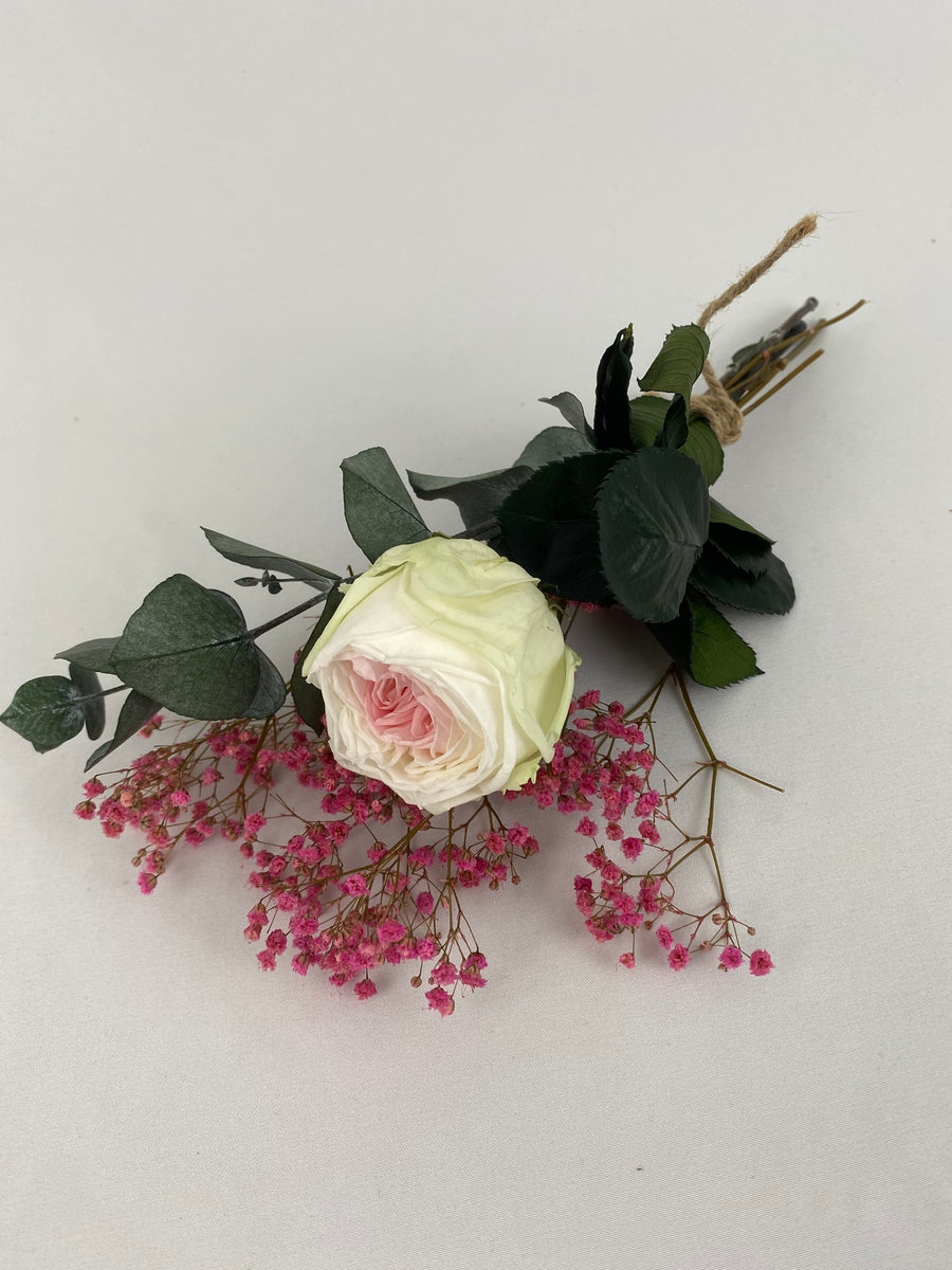 Rosa eterna jardín