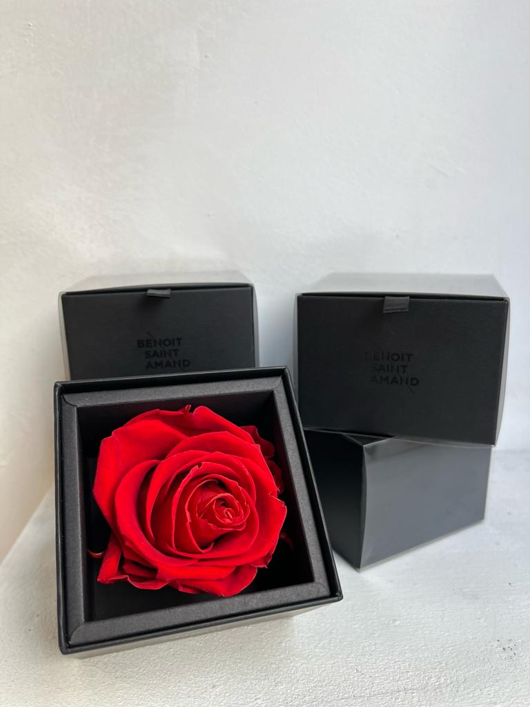 Rosa eterna en caja y dedicatoria