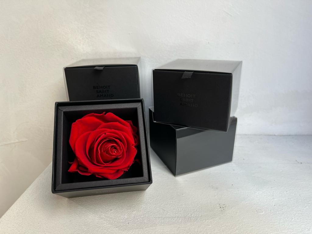 Rosa eterna en caja y dedicatoria