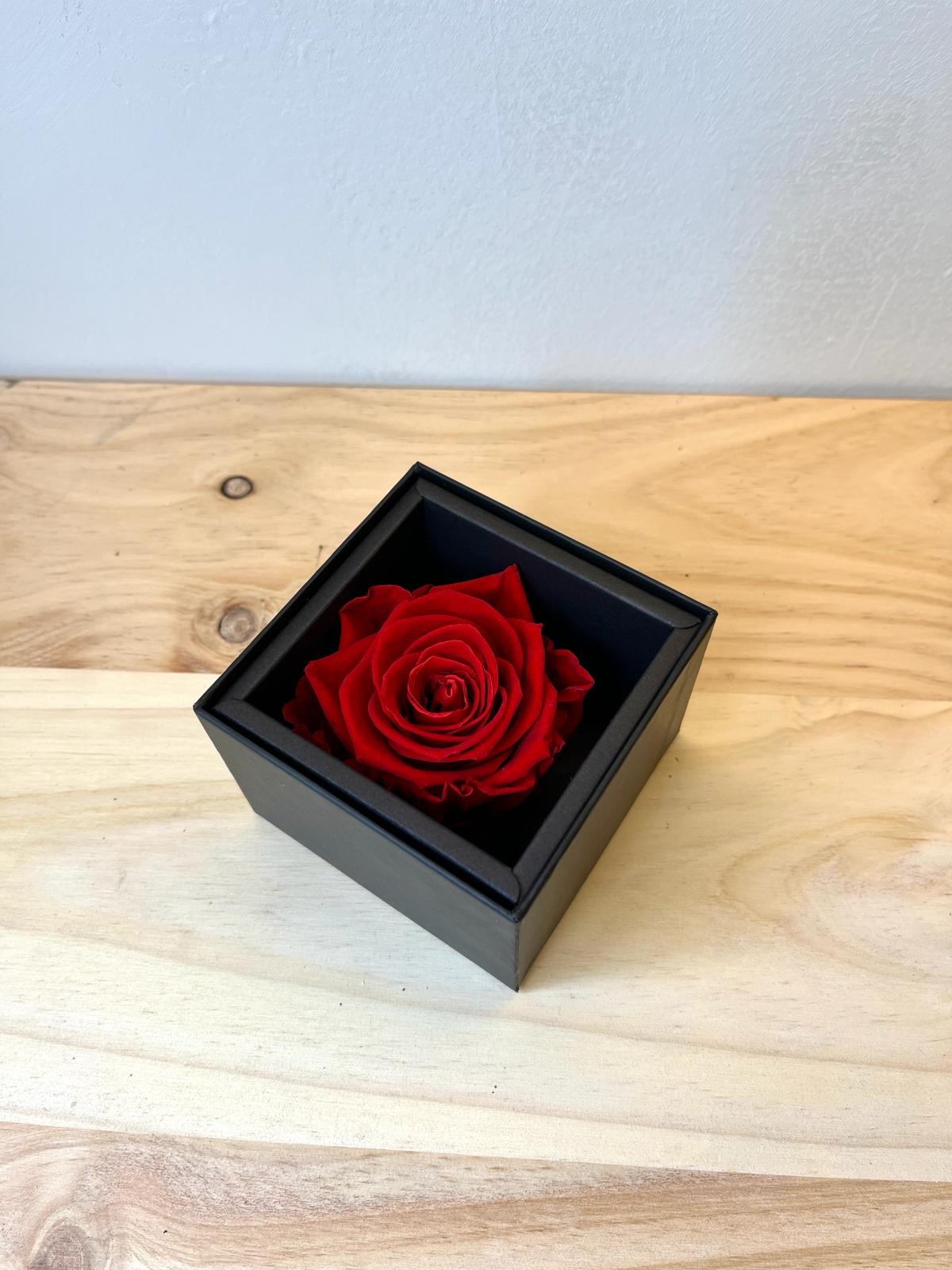Rosa eterna en caja y dedicatoria