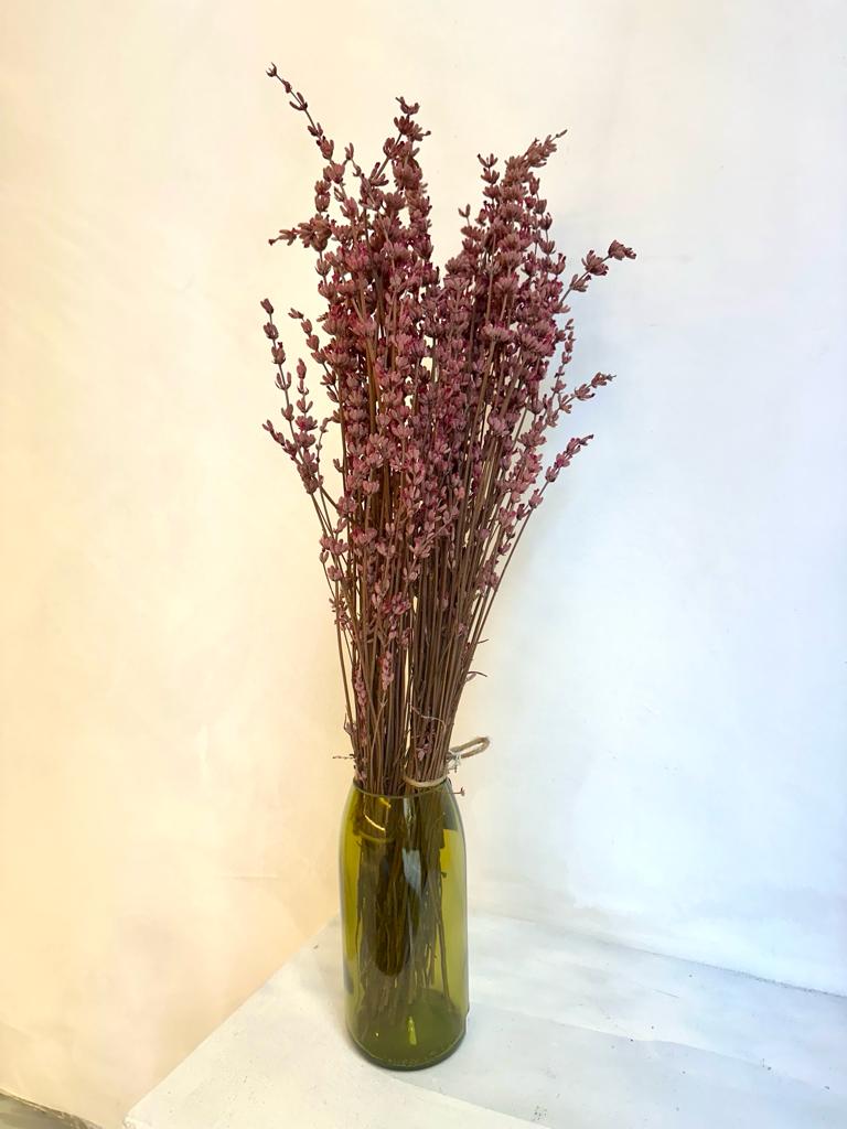 Lavanda