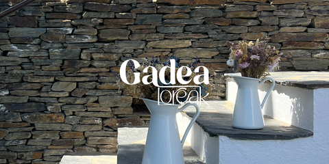 Guia de cuidados para flores secas e preservadas