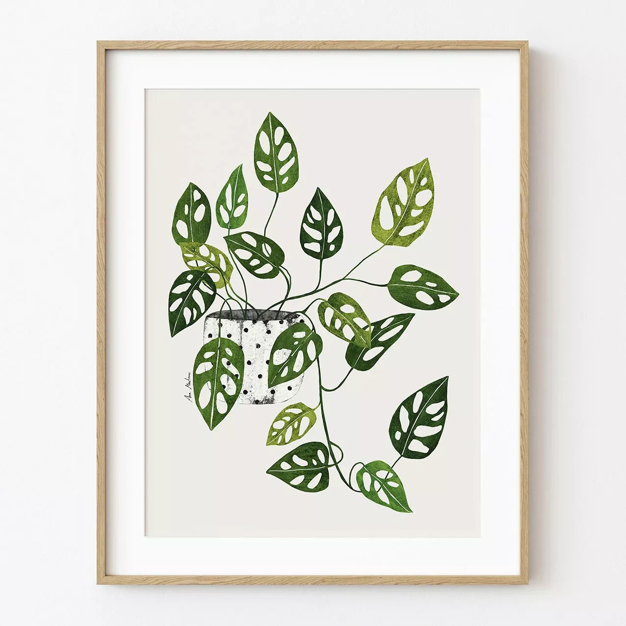 Lámina Monstera