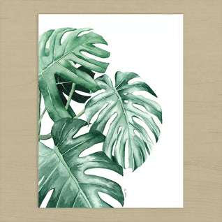 Gravura Folhas de Monstera