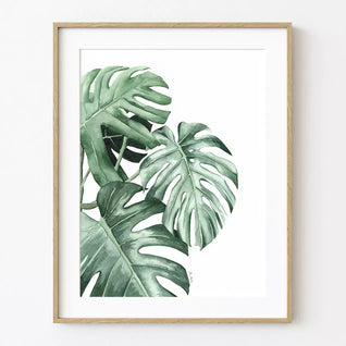 Gravura Folhas de Monstera