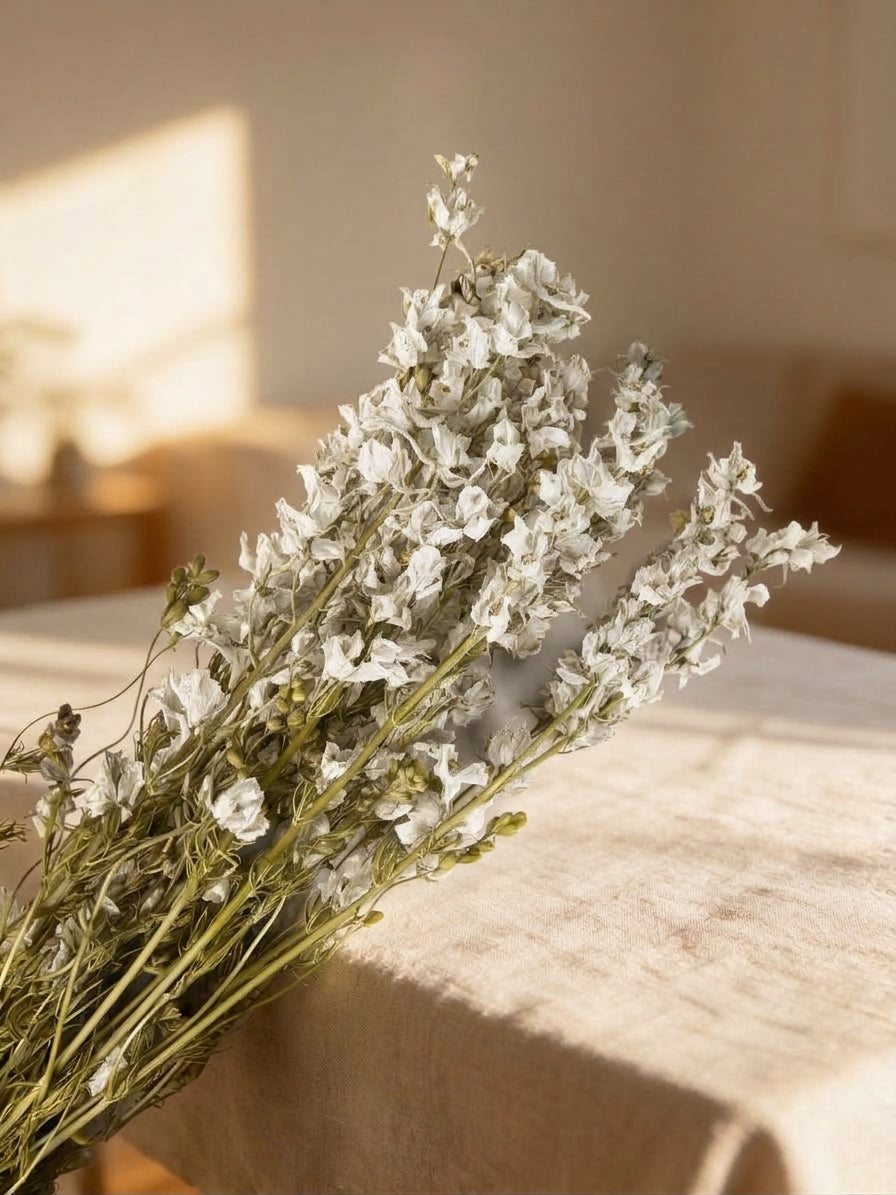 Delphinum