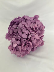 HORTENSIA PRESERVADA