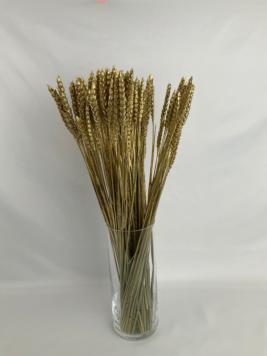Trigo dorado