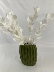 Ruscus preservado premium