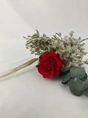 Rosa eterna vermelha