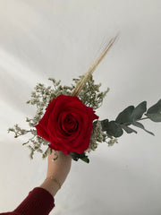 Rosa eterna vermelha