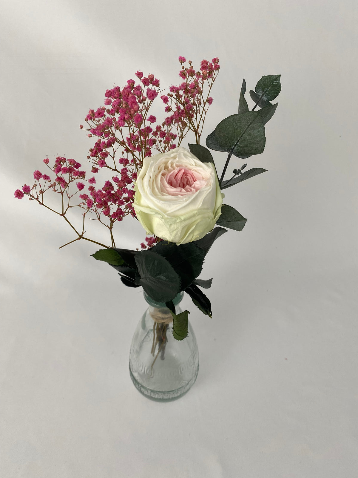 Rosa eterna jardín