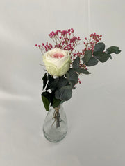 Rosa eterna jardín