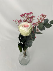 Rosa eterna jardín