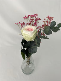 Rosa eterna jardín