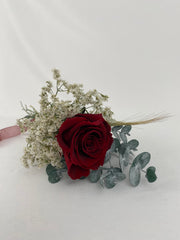 Rosa eterna burgundy